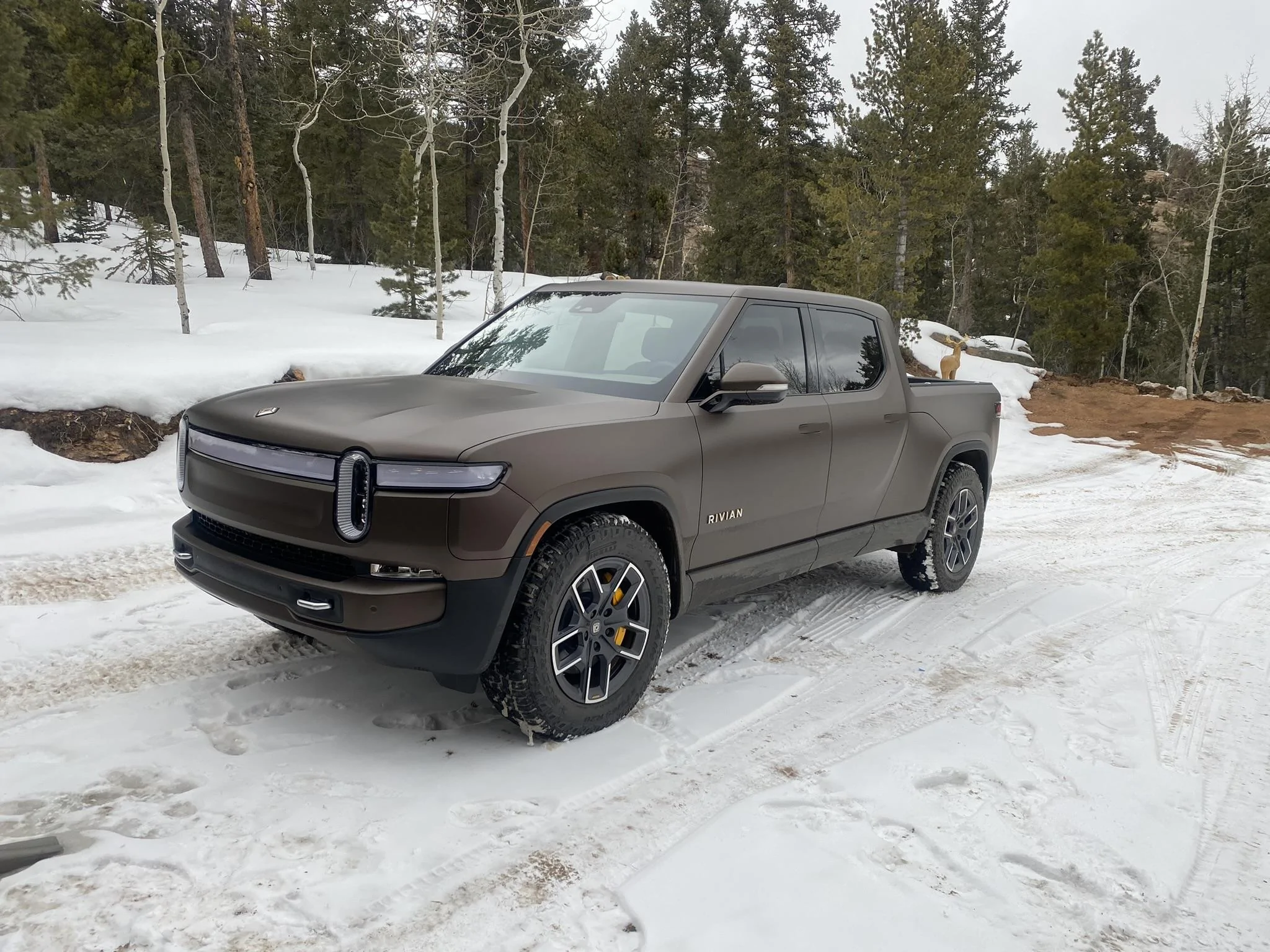 Rivian R1T R1S Paint Care Protection Thread IMG_5883