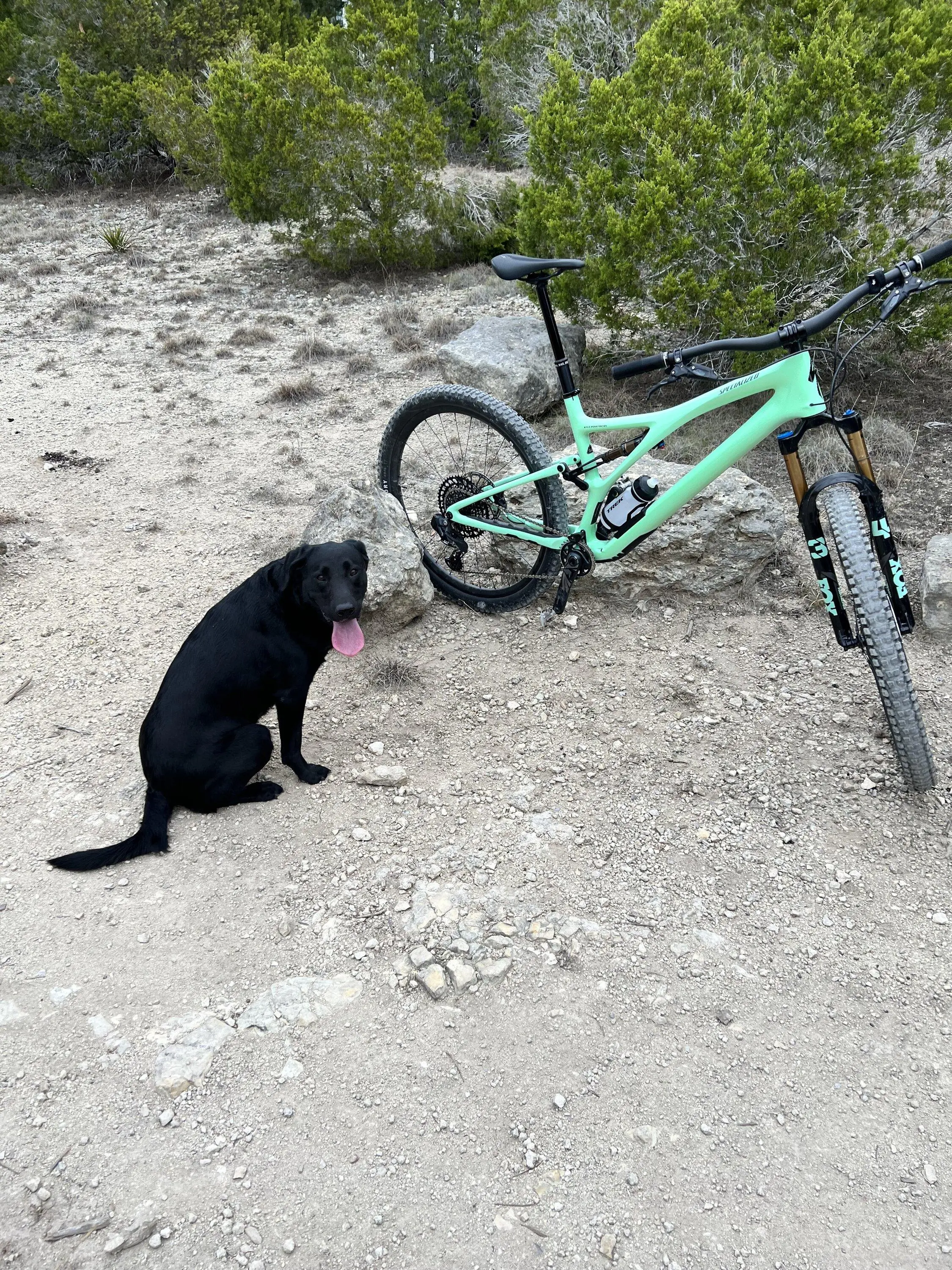 Rivian R1T R1S Show us your Mountain/Gravel/Road Bike MTB - Rivian Style! IMG_1008