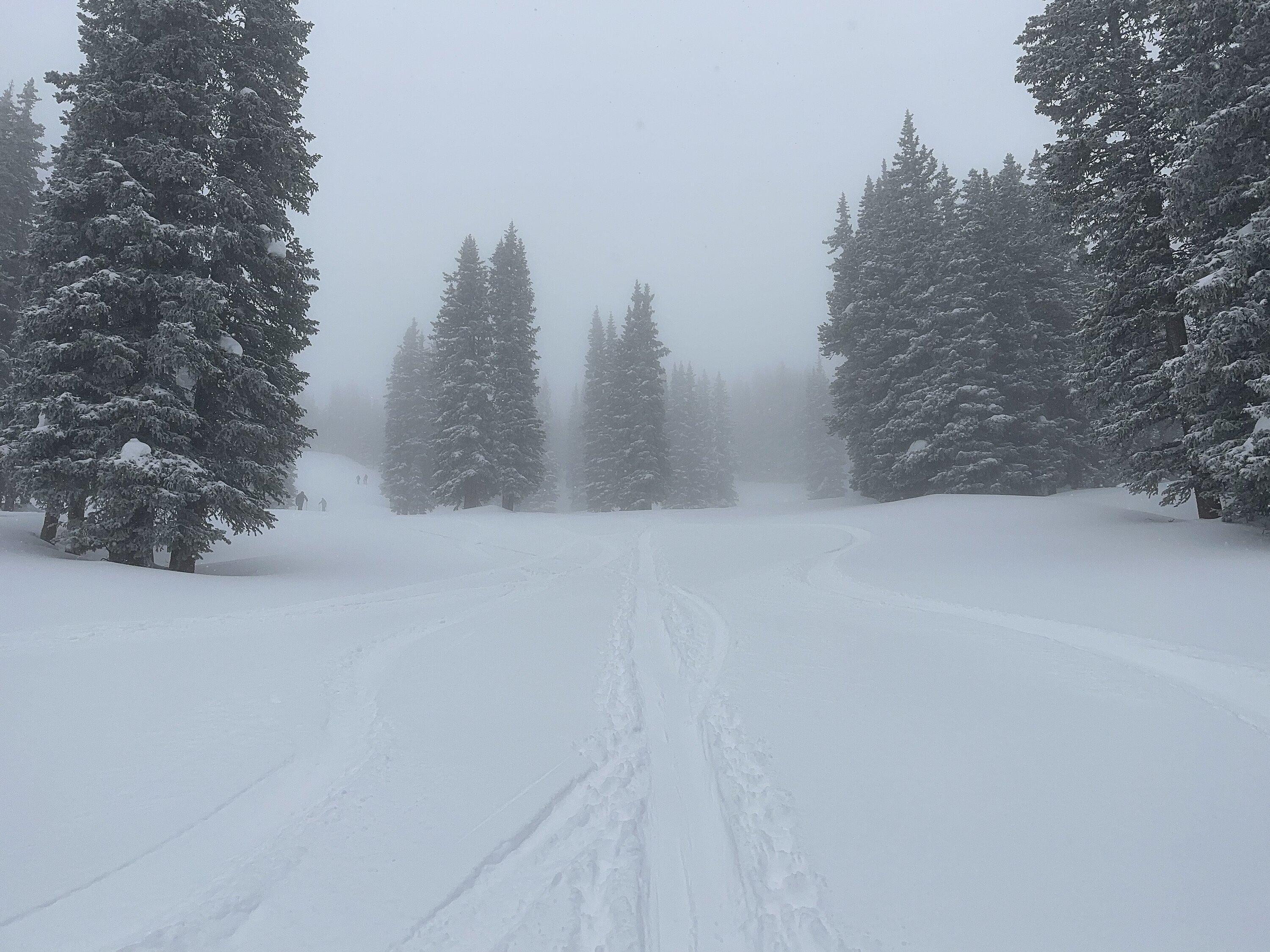 Rivian R1T R1S Snow Mode over alpine mountain pass in R1S -- worked well 4D99BBB2-2A7F-46BD-B702-09C92442EAA6