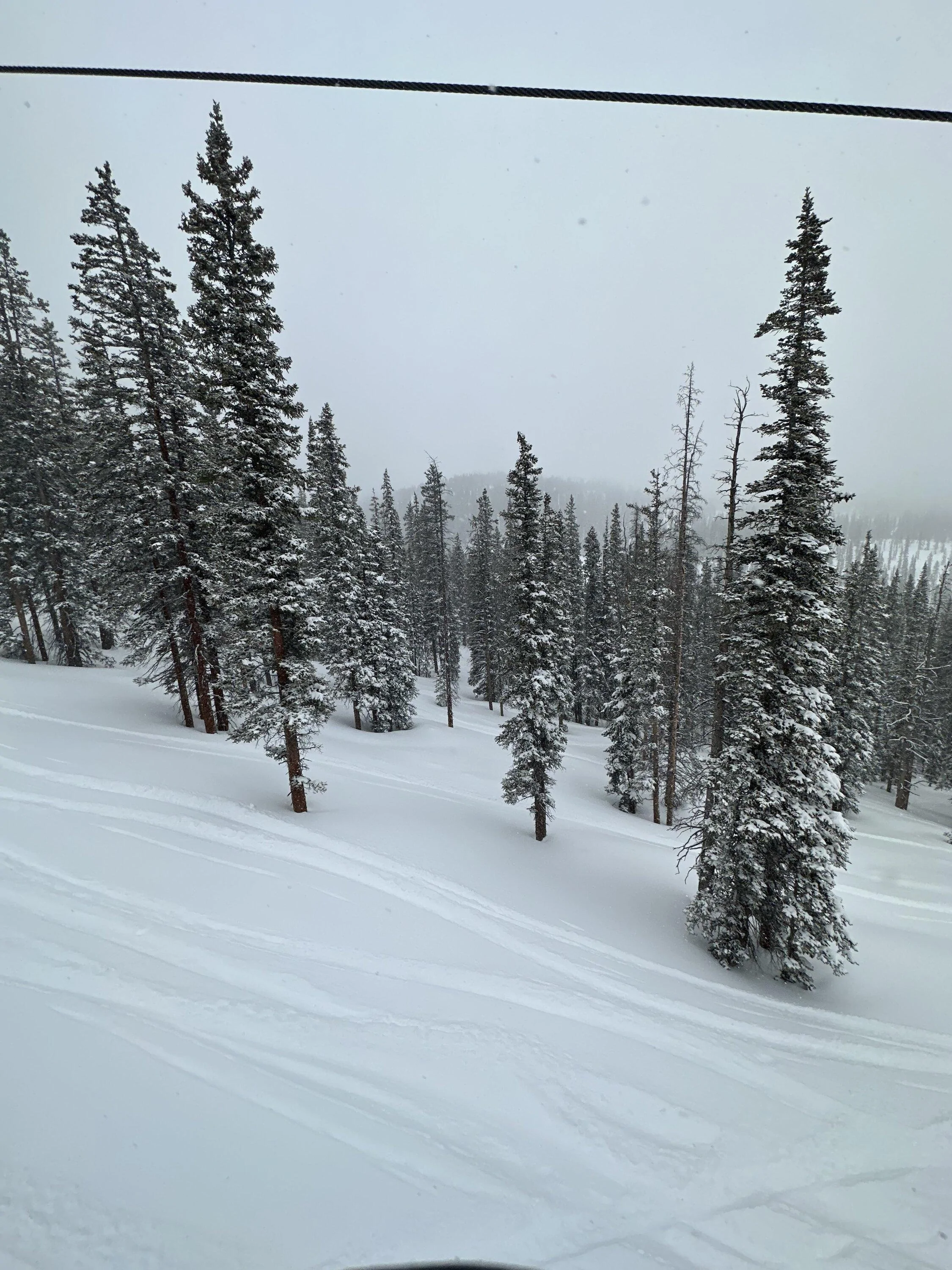 Rivian R1T R1S Snow Mode over alpine mountain pass in R1S -- worked well 3A71EBBF-59FA-4350-AACE-7BFC1D43DAFB