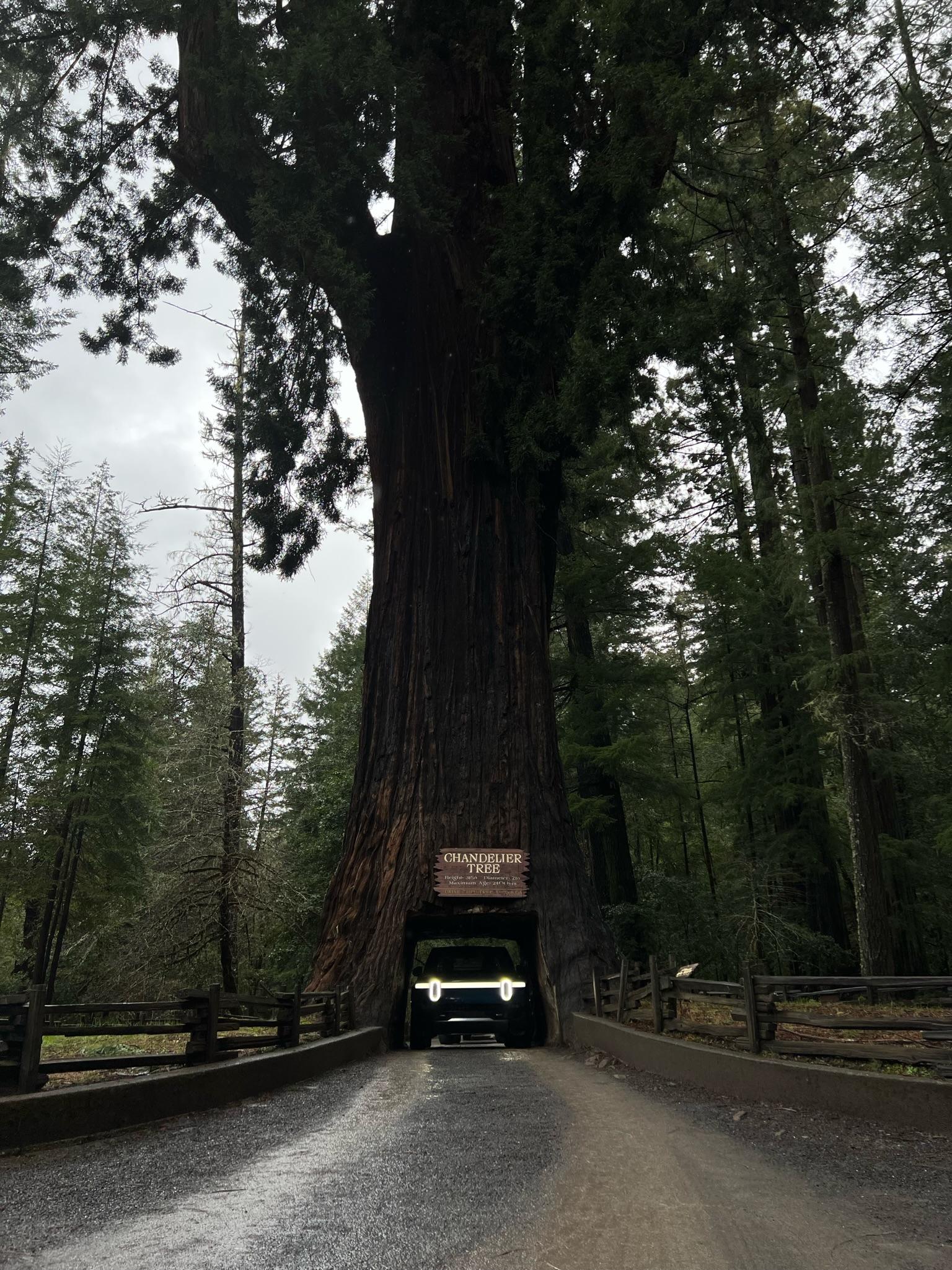 Rivian R1T R1S R1T Sighting in its native habitat CF105AA2-27A9-49E7-8268-3B179CA329F6
