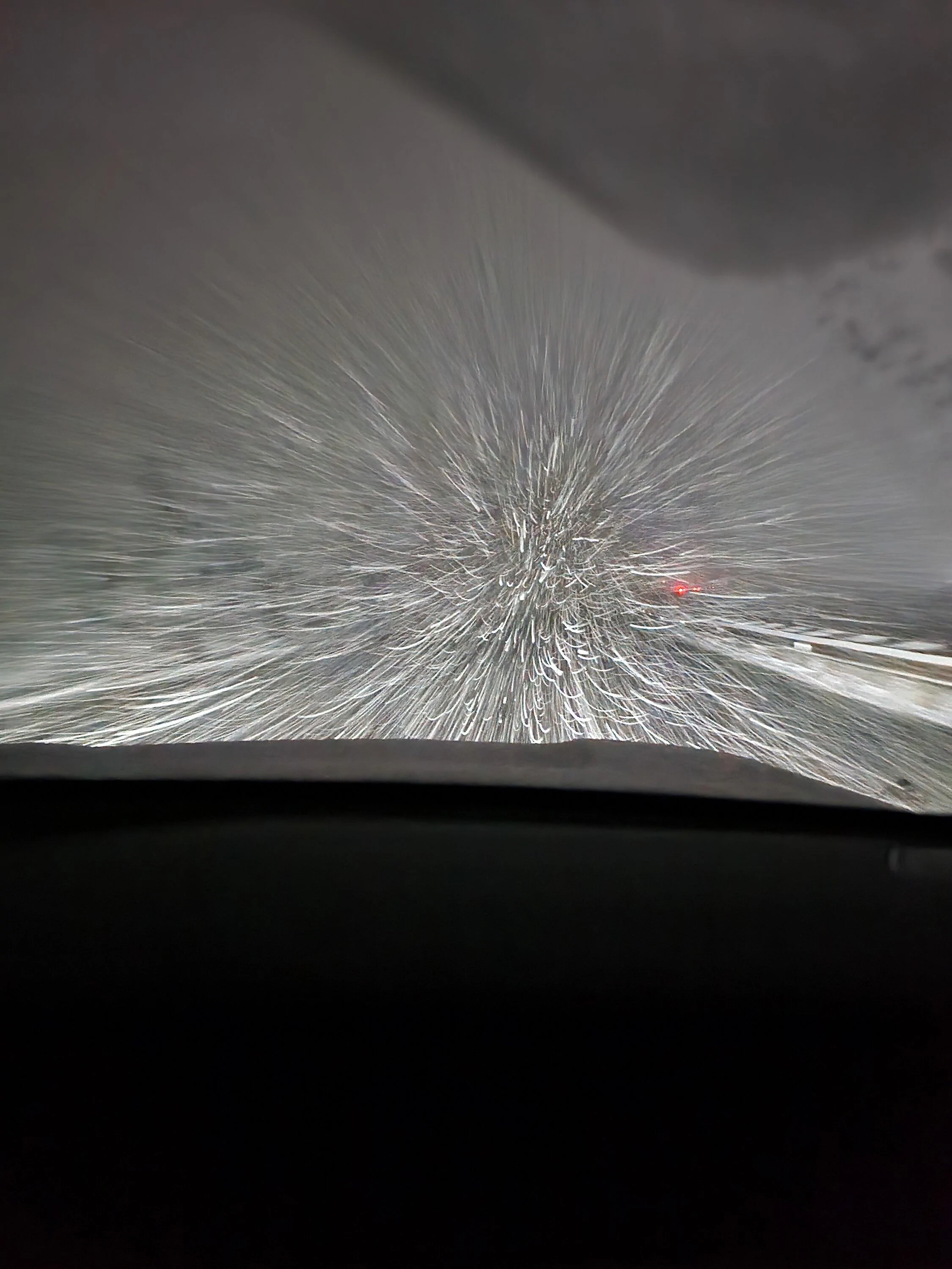 Rivian R1T R1S Driving in Blizzard with Fog Lights 20230312_195917