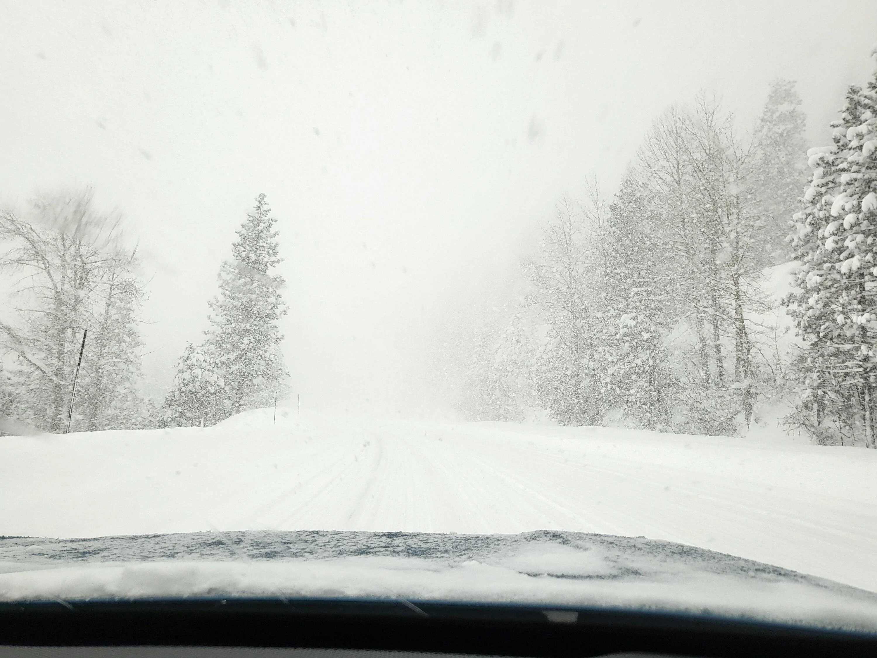 Rivian R1T R1S Snow performance check-in....focus on tires. 20230224_122220
