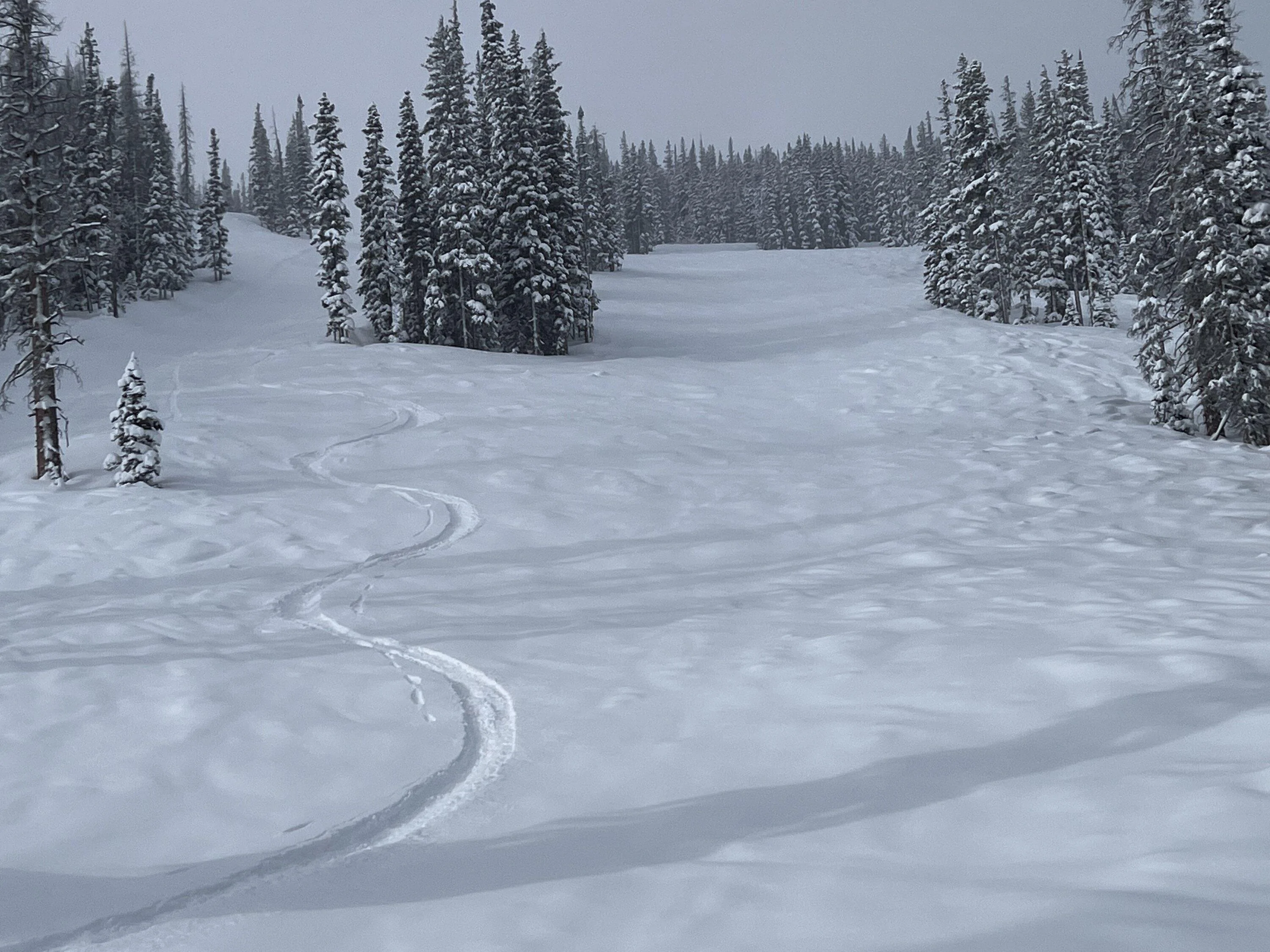 Rivian R1T R1S Snow performance check-in....focus on tires. 104792F3-D670-47FD-9305-F48091805CB9