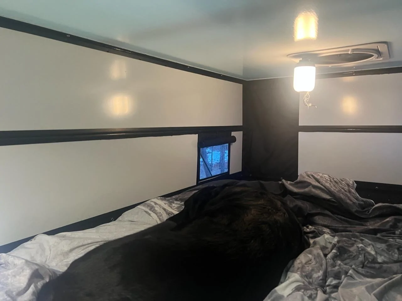 Rivian R1T R1S JJ’s Overland R1T Build V2 w/ Pop Top Camper Shell (Oru Designs) E605A743-E4DD-4F63-8E94-3176F5B1B2EA
