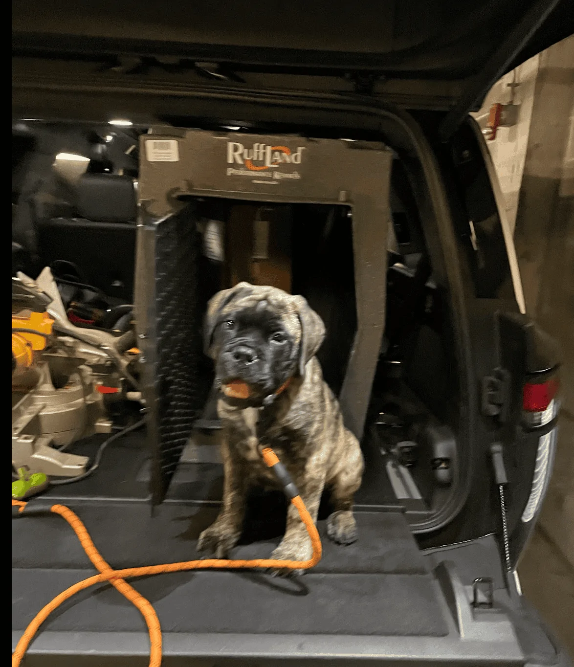Rivian R1T R1S R1S Dog Owners Screen Shot 2023-04-11 at 7.56.03 PM