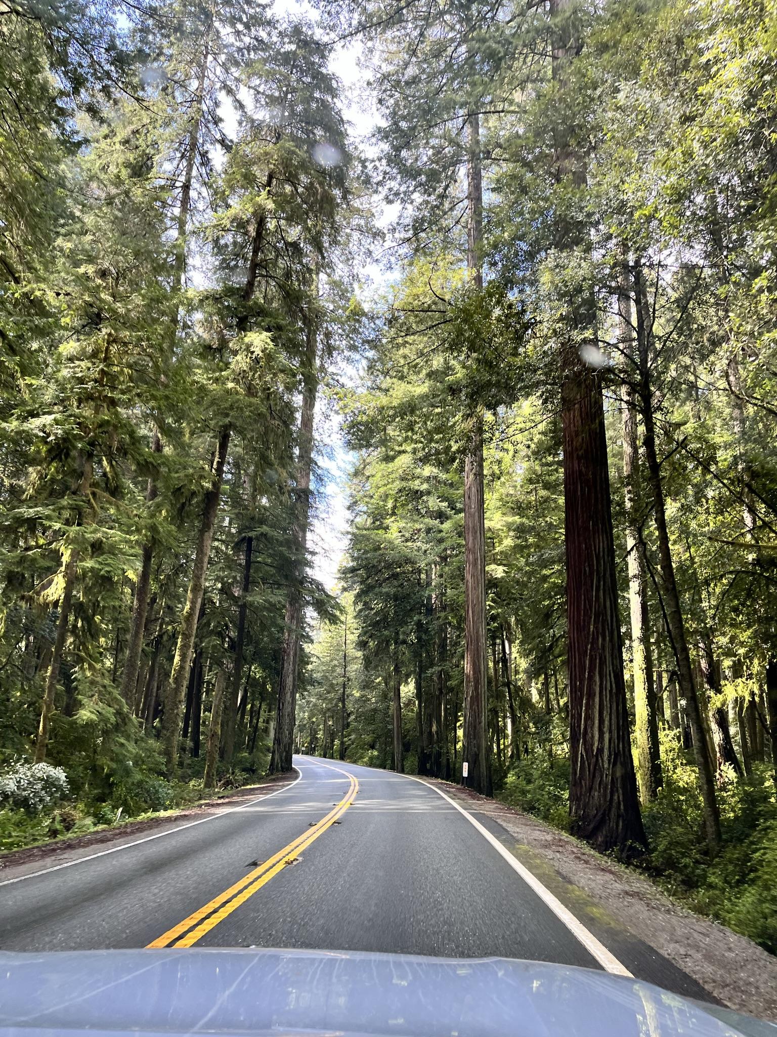 Rivian R1T R1S Completed wonderful 2 Week R1T Road Trip: WA-OR-CA IMG_5958.JPEG