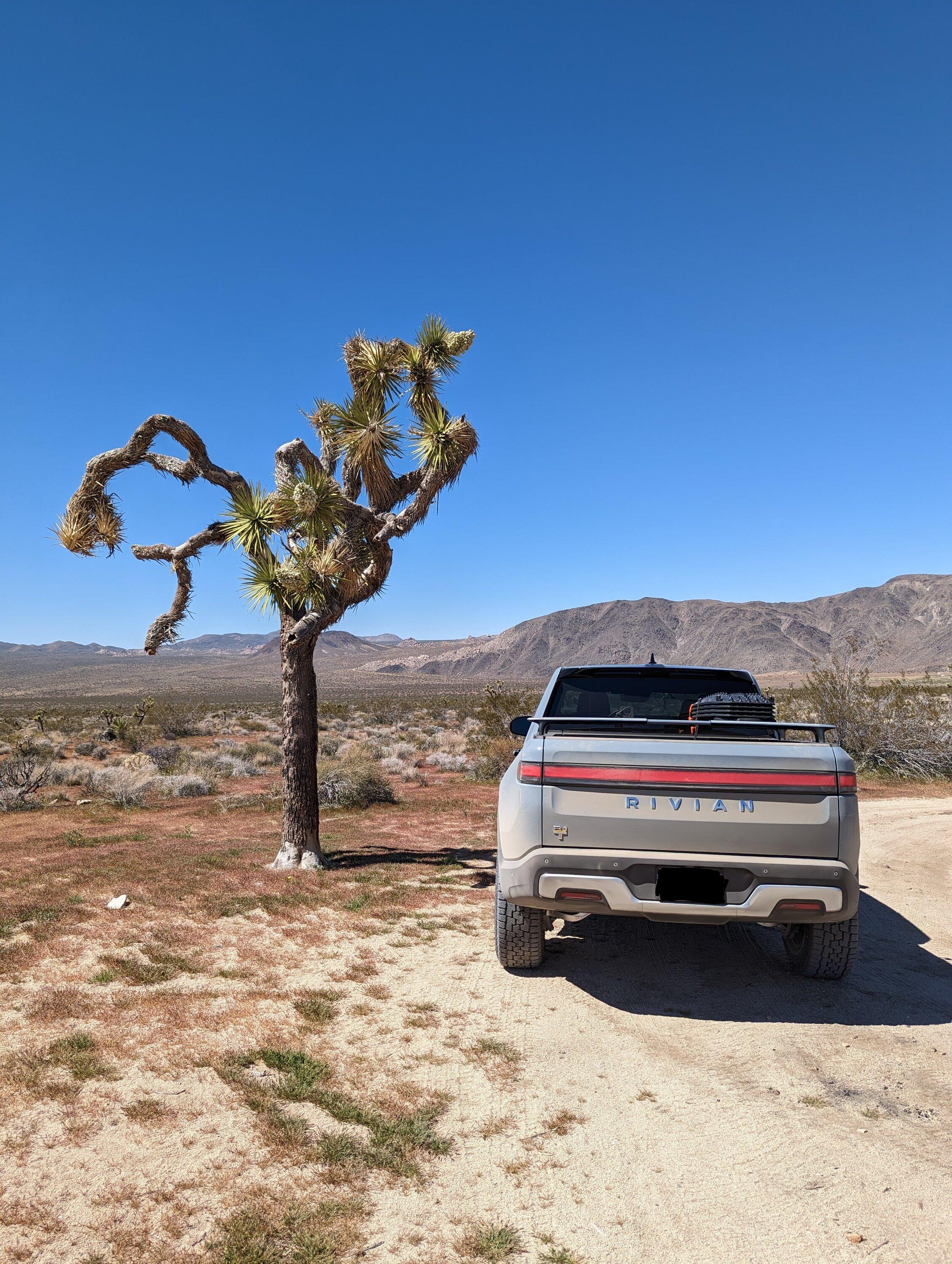 Rivian R1T R1S LIMESTONE R1T Photos PXL_20230409_212355828~2