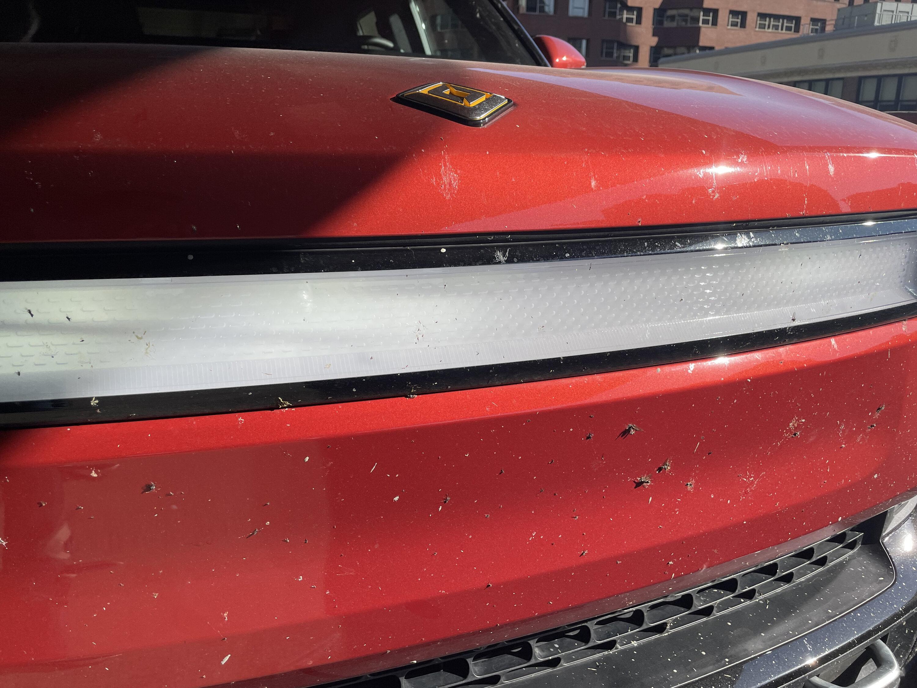 Rivian R1T R1S Bugs! What products will take care of bug splatter? Bugs