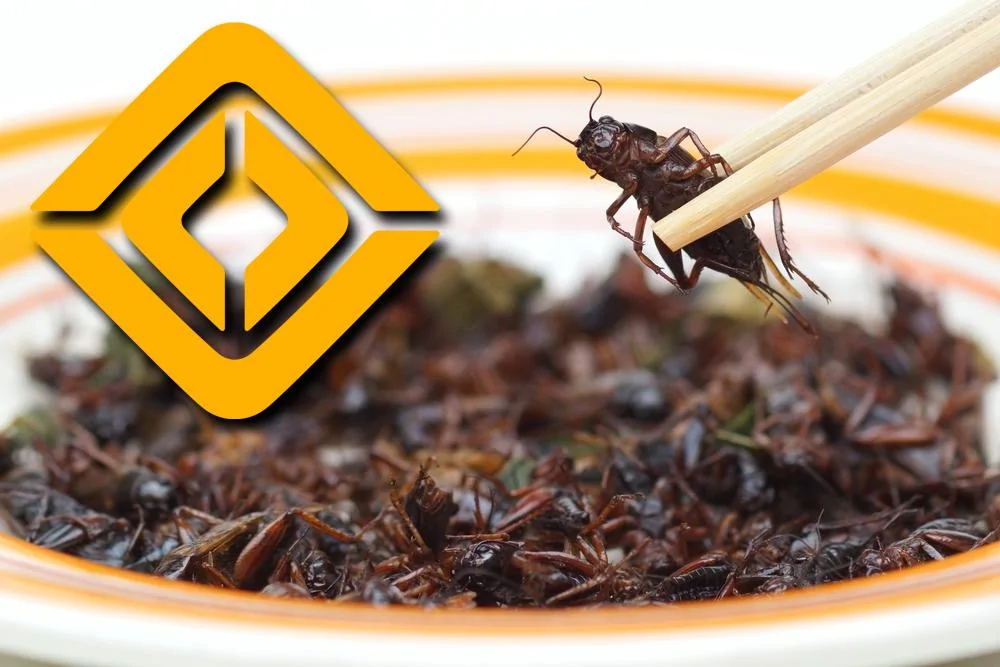 rivian crickets.jpg