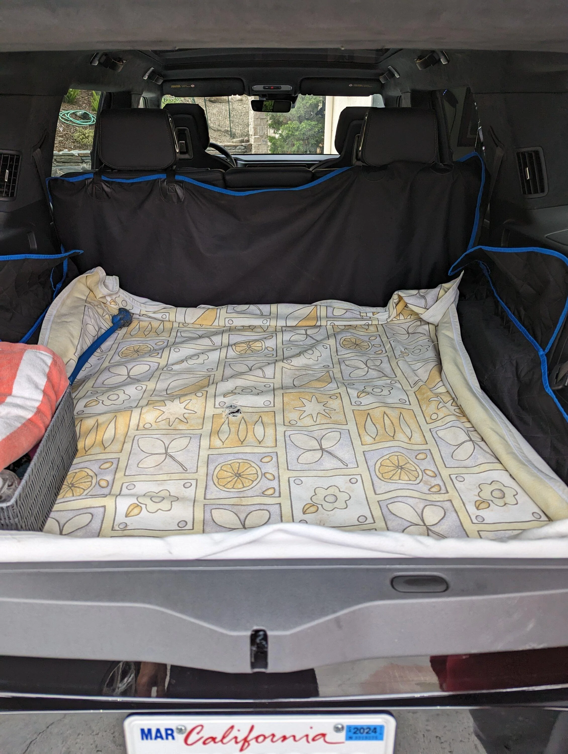 Rivian R1T R1S Cargo Liner - Any recommendations? PXL_20230512_160644198