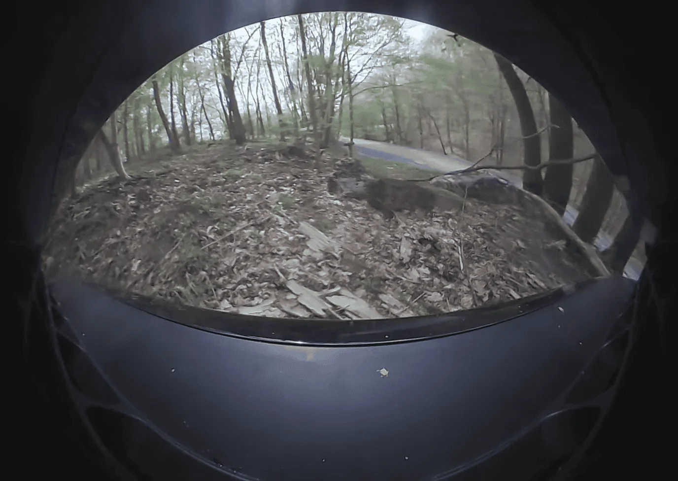 Rivian R1T R1S Unplanned Rock Crawling in West Virginia vlcsnap-2023-05-28-20h37m44s739