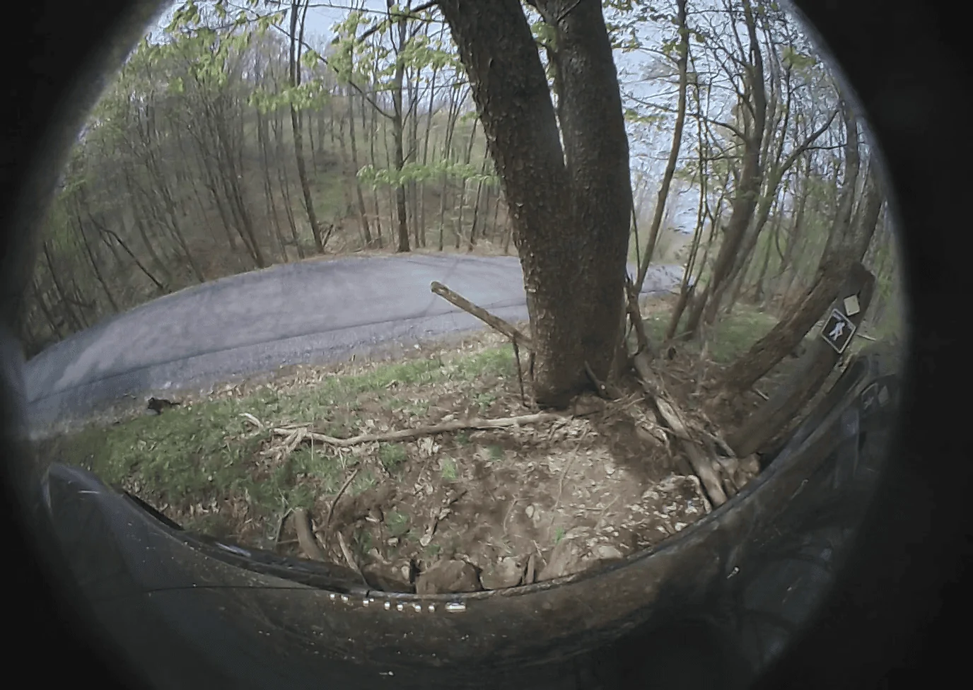 Rivian R1T R1S Unplanned Rock Crawling in West Virginia vlcsnap-2023-05-28-21h12m30s030