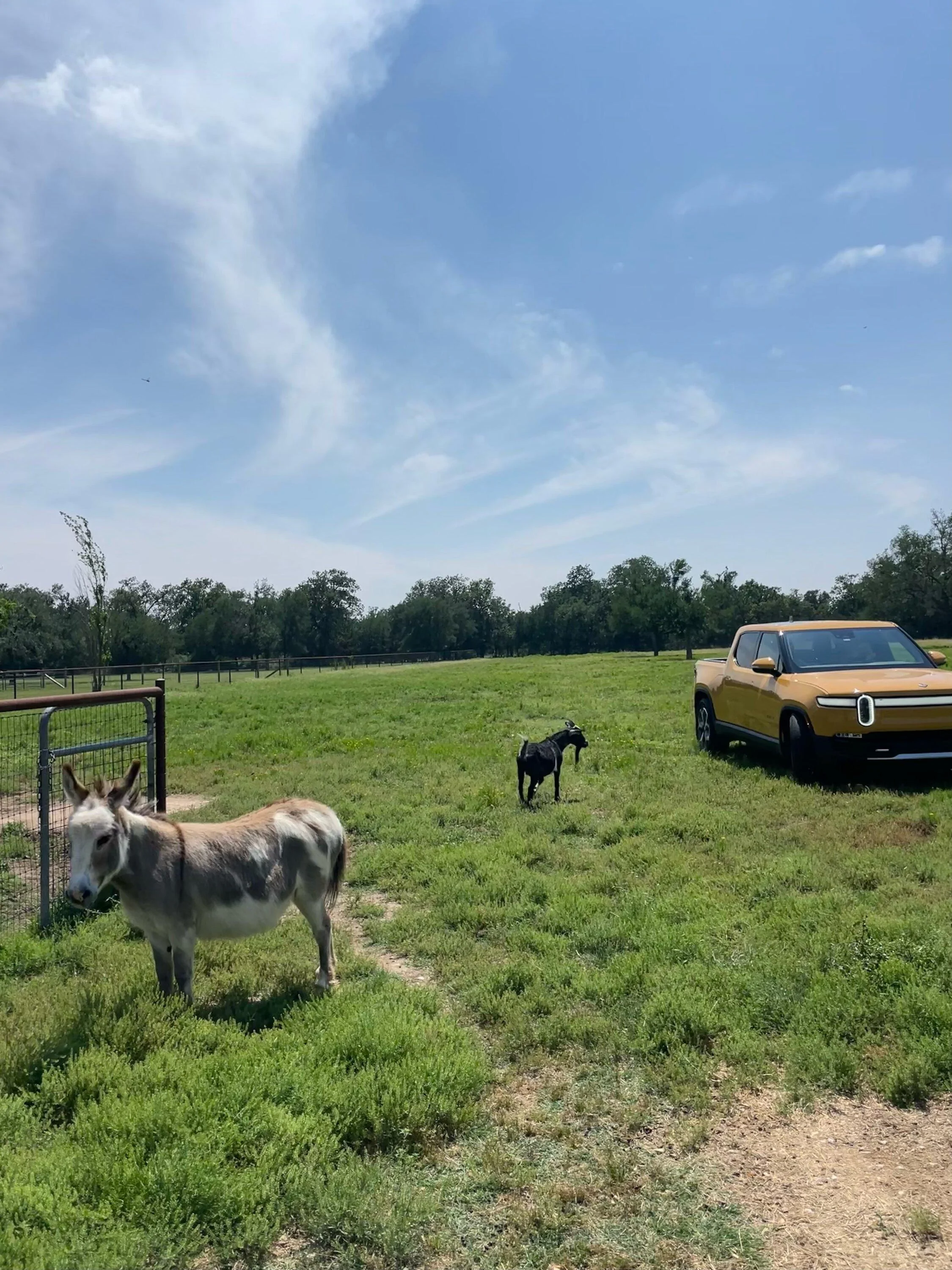 Rivian R1T R1S COMPASS YELLOW R1T Photos IMG_0493