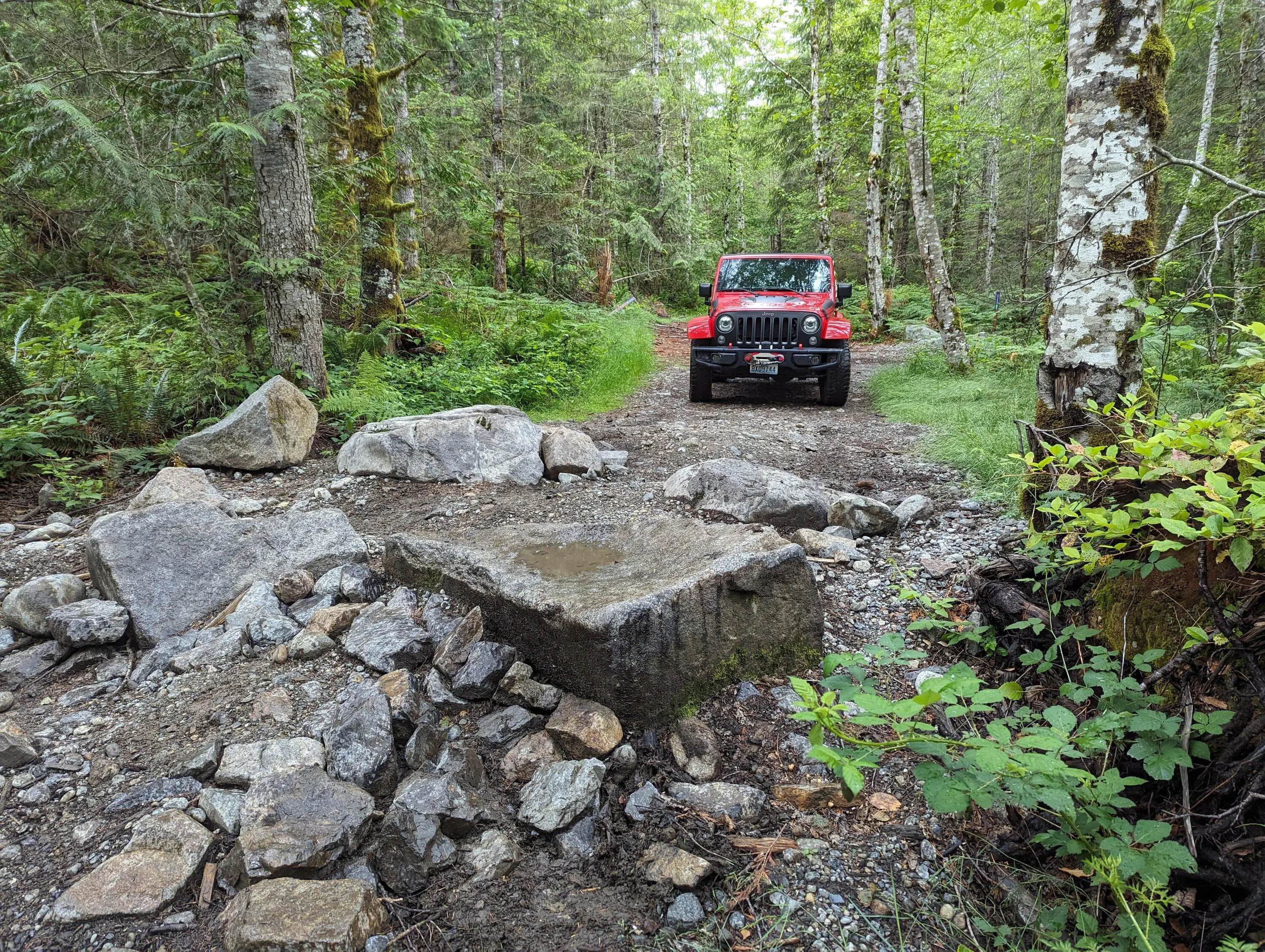 Rivian R1T R1S Lack of Crawl Control Off-roading Leads to Battle Scars PXL_20230619_191850622