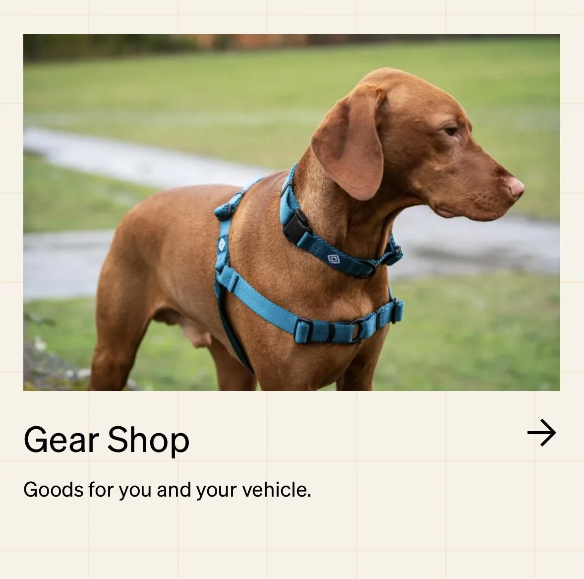Rivian R1T R1S Dog & pet accessories added to Rivian Gear Shop (collar, leash, harness, water bowl, etc) IMG_2547