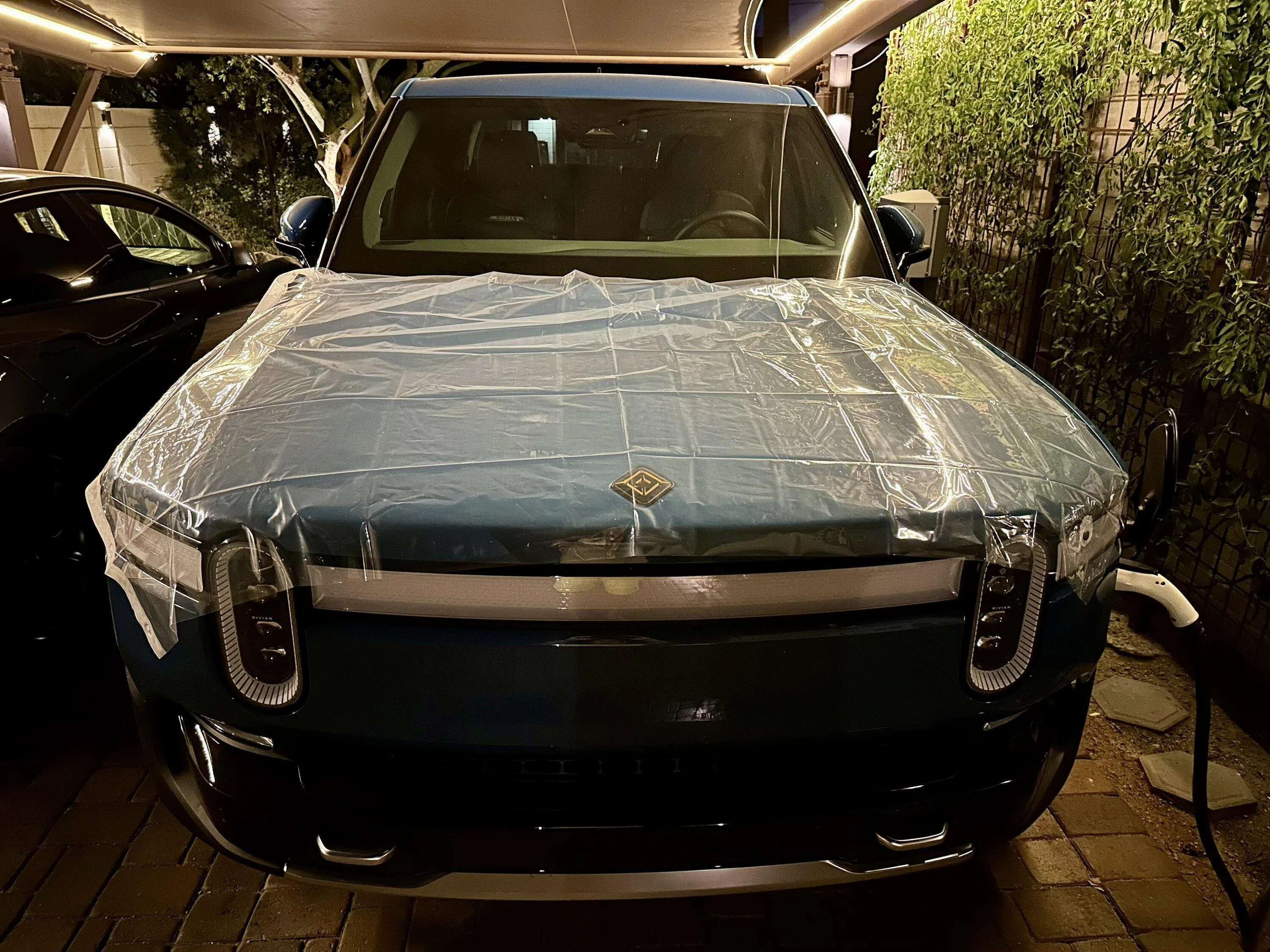 Rivian R1T R1S A cat likes my R1T hood IMG_2341