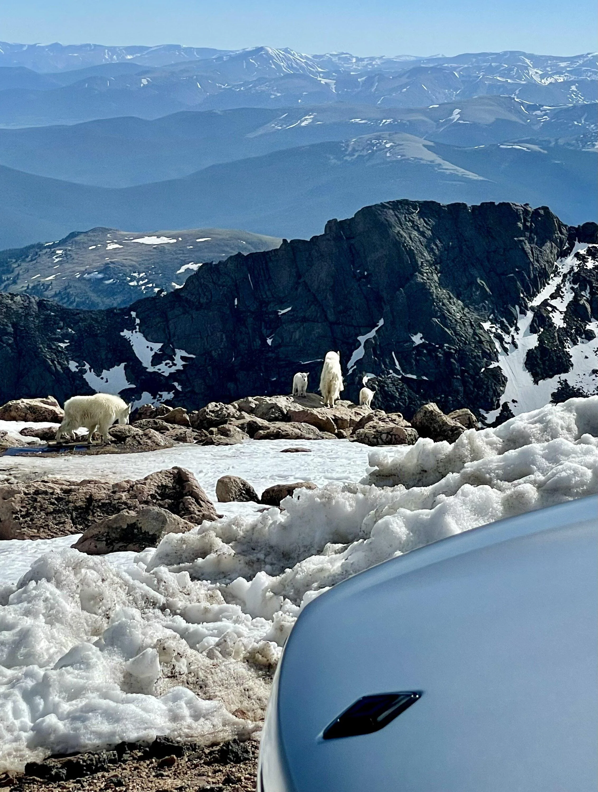 Rivian R1T R1S Colorado Checking In IMG_6485