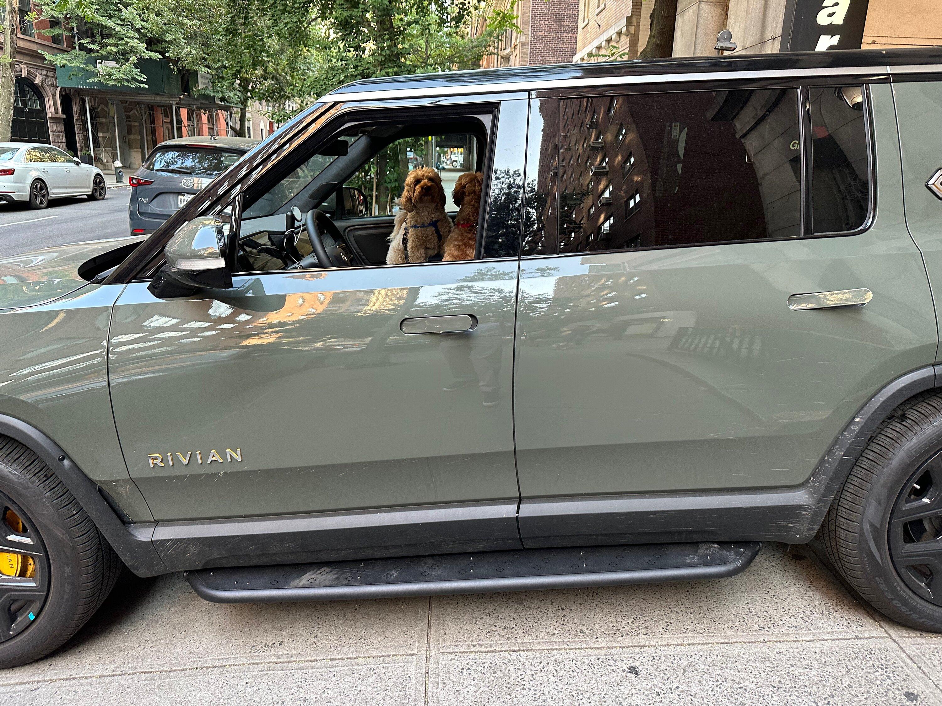Rivian R1T R1S R1S running boards news ? IMG_5337