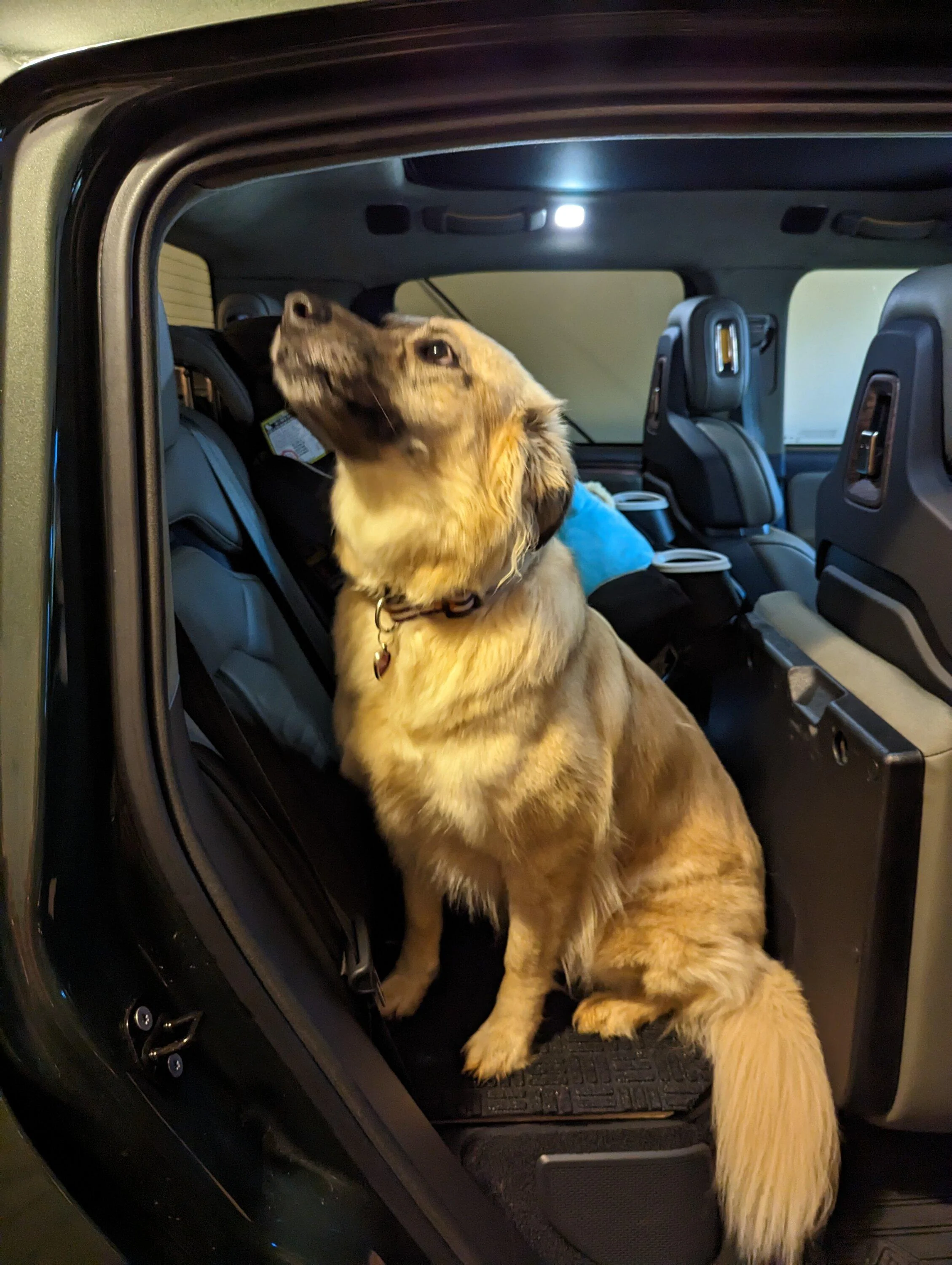 Rivian R1T R1S Dog Platform Bench custom DIY made for R1T back seat PXL_20230514_230829111