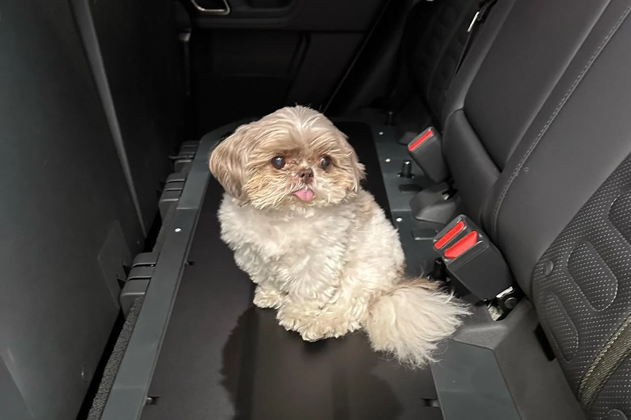 Rivian R1T R1S R1T Under Rear Seat Cargo Covers & Dog / Pet Decks have lauched! New at EVSportine.com Rivian-Pet-Deck