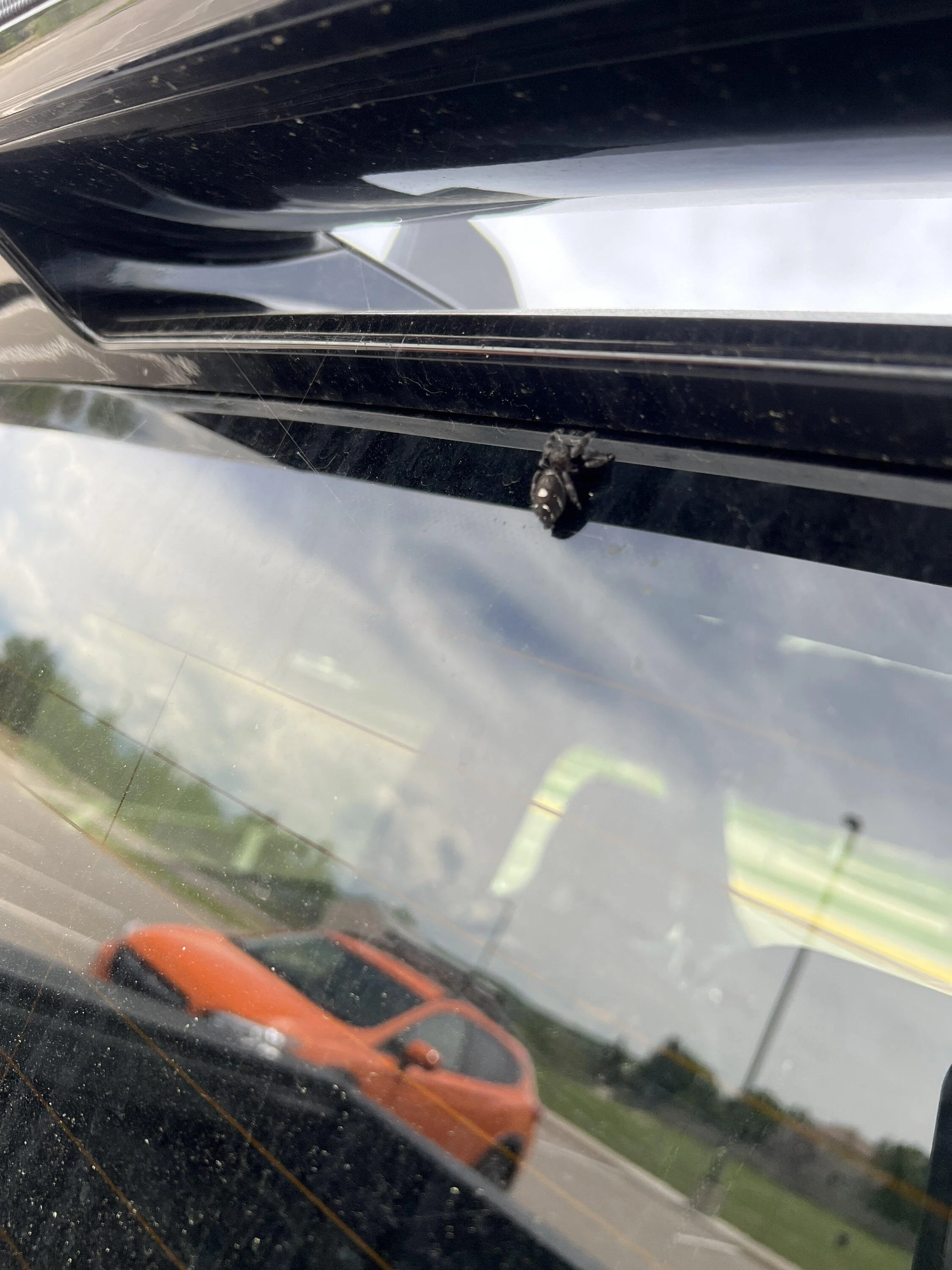 Rivian R1T R1S Bee in truck IMG_7160