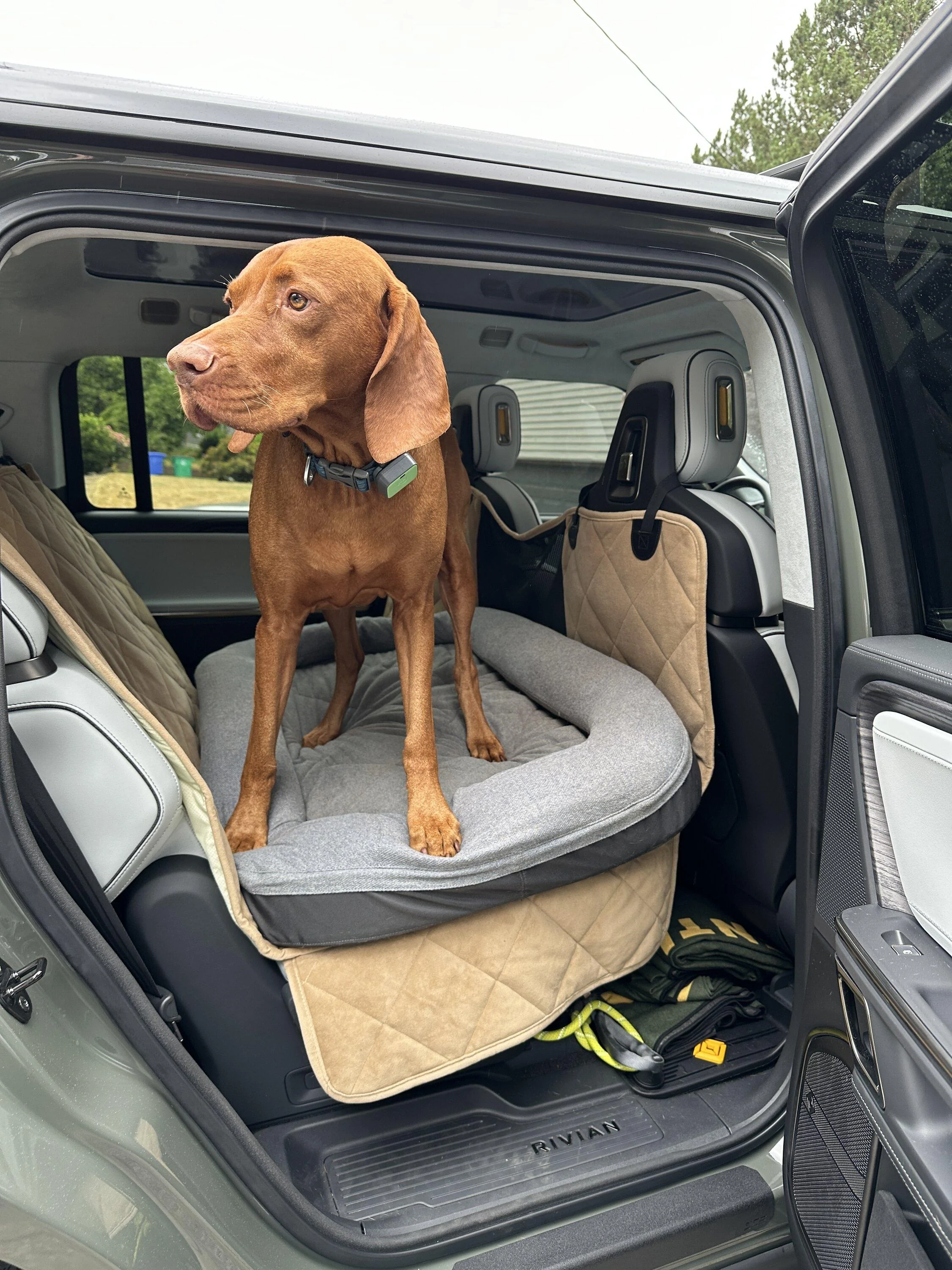 Rivian R1T R1S Attention all R1S Dog Owners IMG_6065