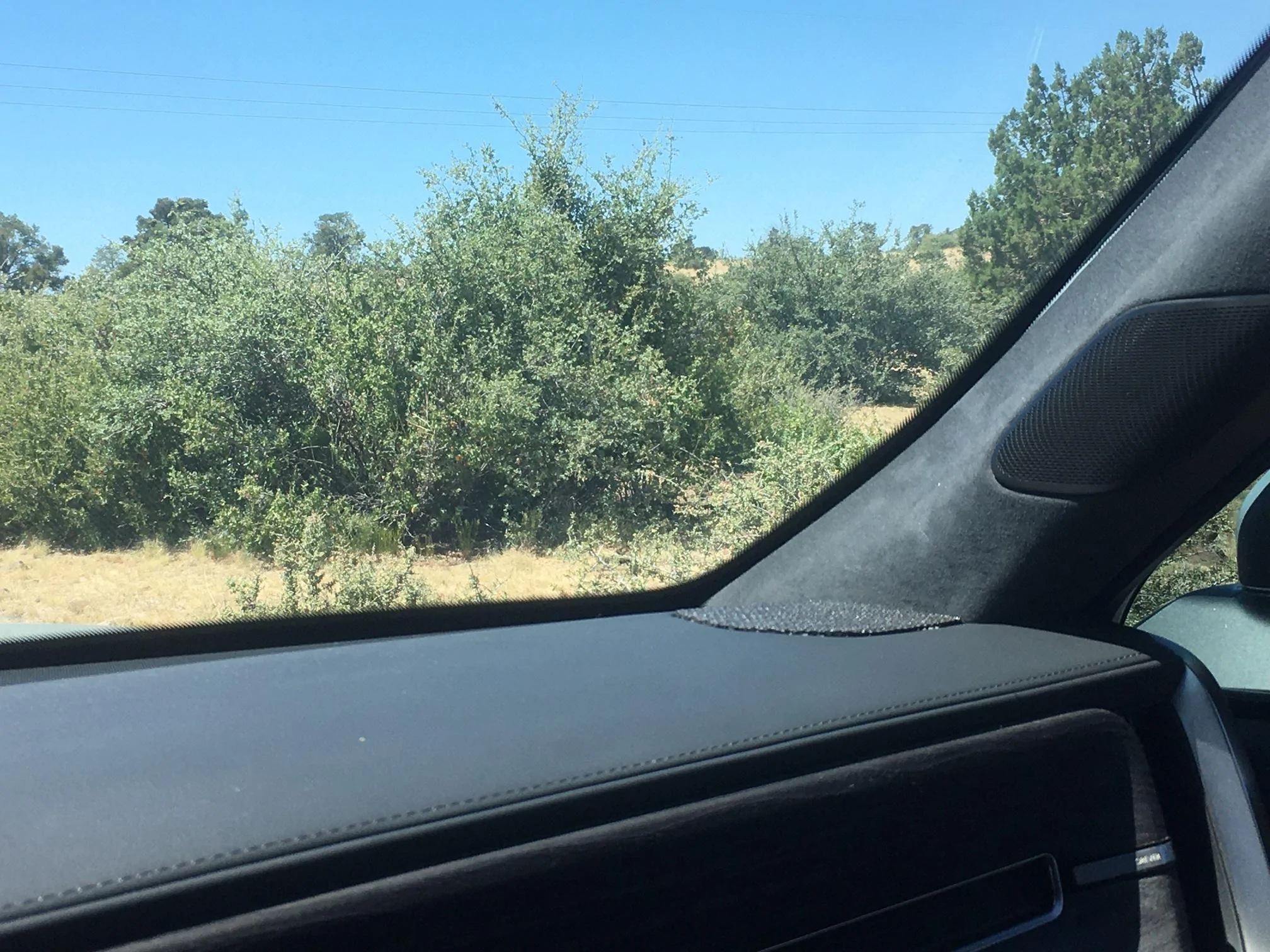 Rivian R1T R1S Matte PPF for dashboard A-pillar speakers? IMG_2535