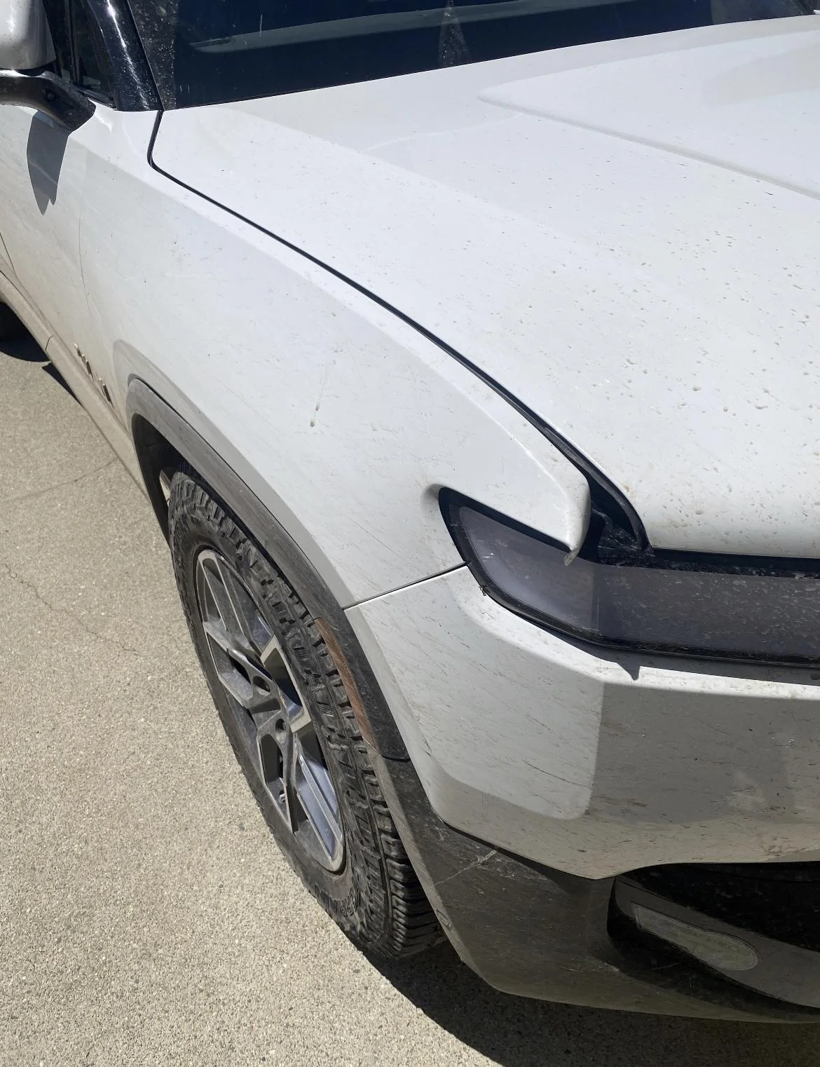 Rivian R1T R1S PSA: Off-roading with tree branches?  Stuff your crack with rubber. IMG_6567