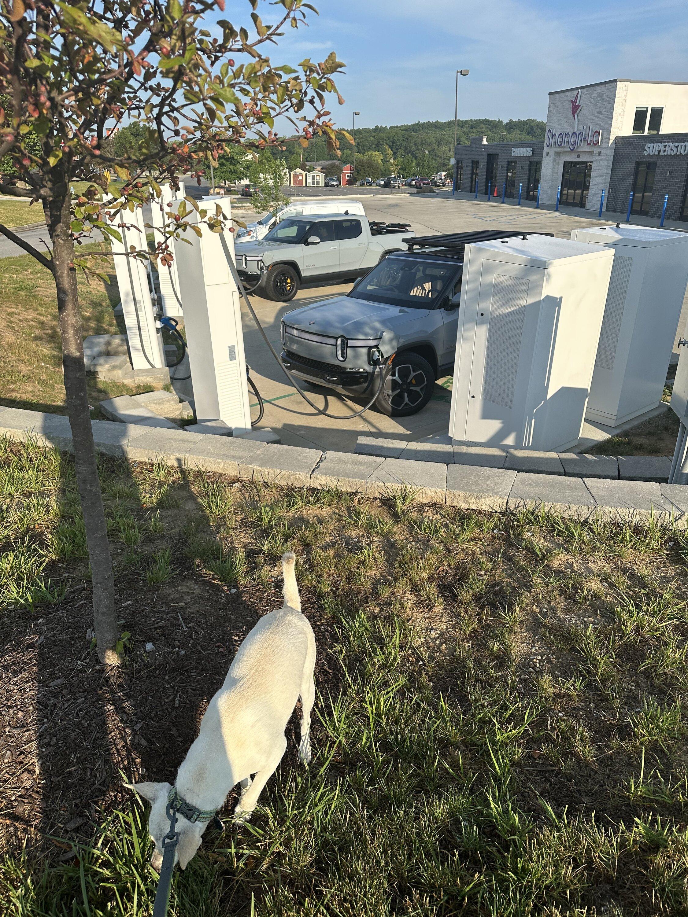 Rivian R1T R1S ? LIMESTONE R1S  Photos D9866264-79C1-46C1-B7A0-103EBC6729E5