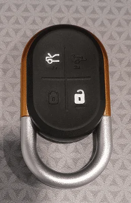 Rivian R1T R1S Painted the key fob 1689714922634