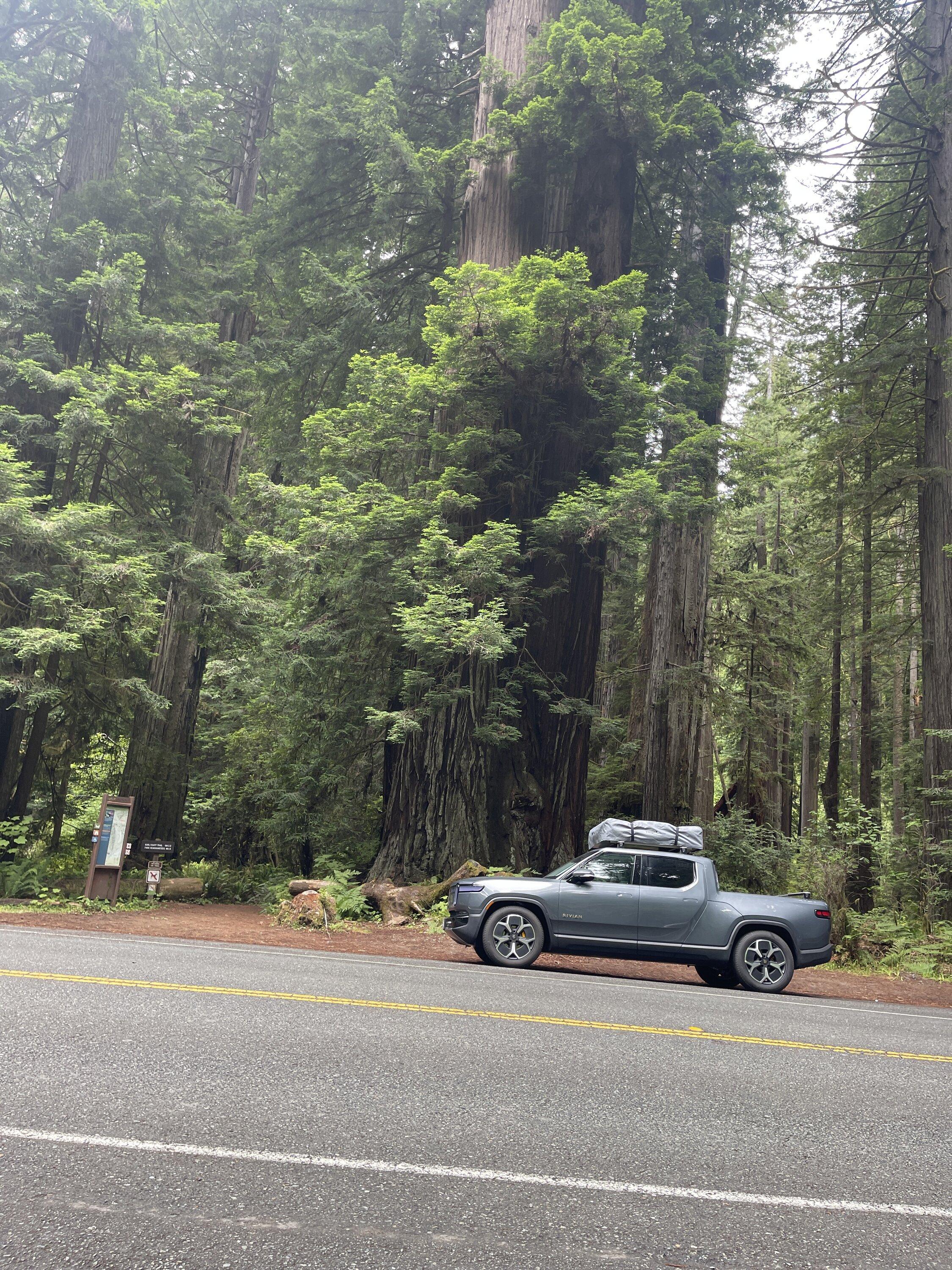 Rivian R1T R1S Skycamp mini on R1T roof? IMG_9424