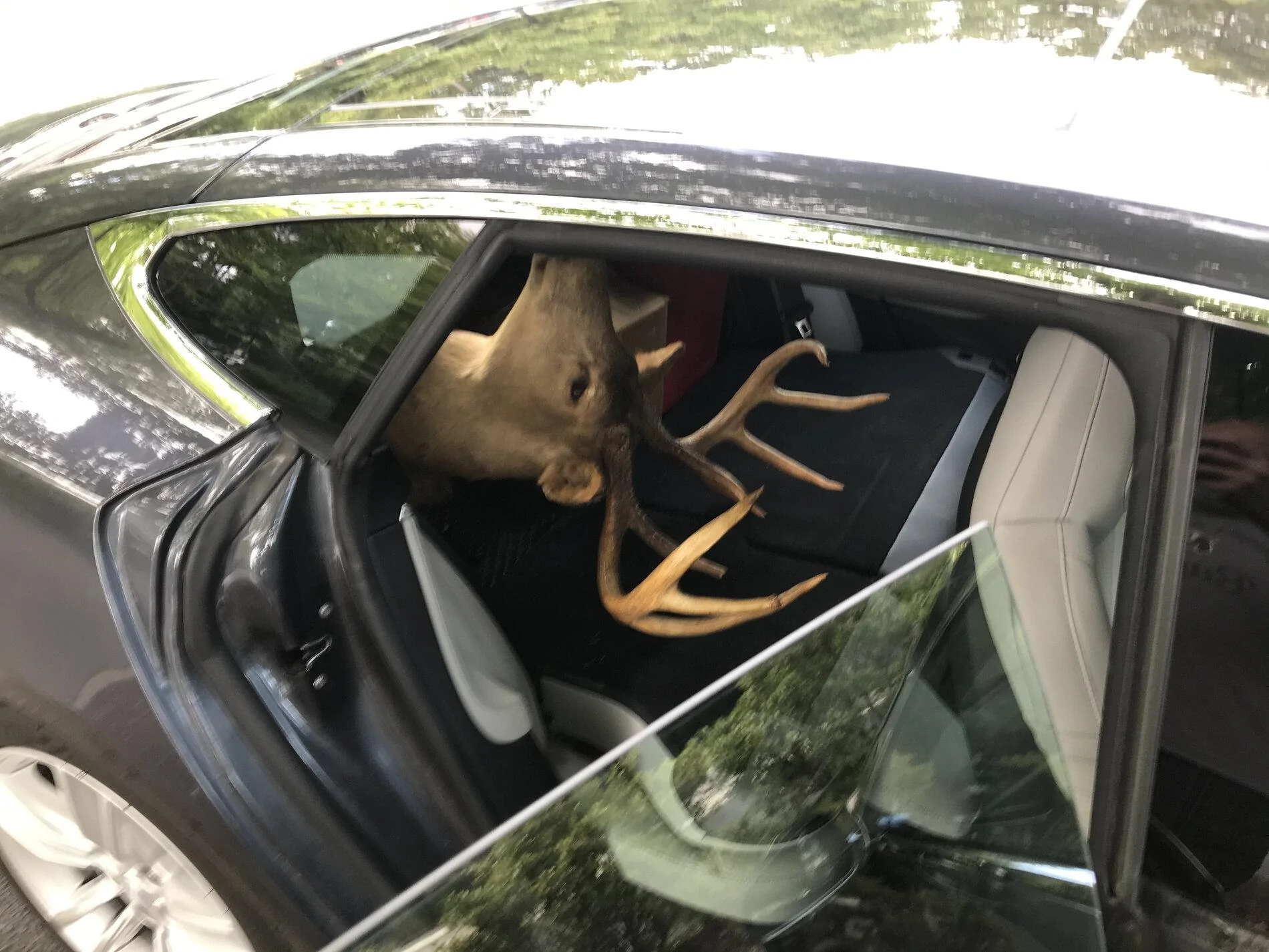 Rivian R1T R1S Hunting in your Rivian B5C83AD8-461C-4F97-9D4C-E63C09452F09