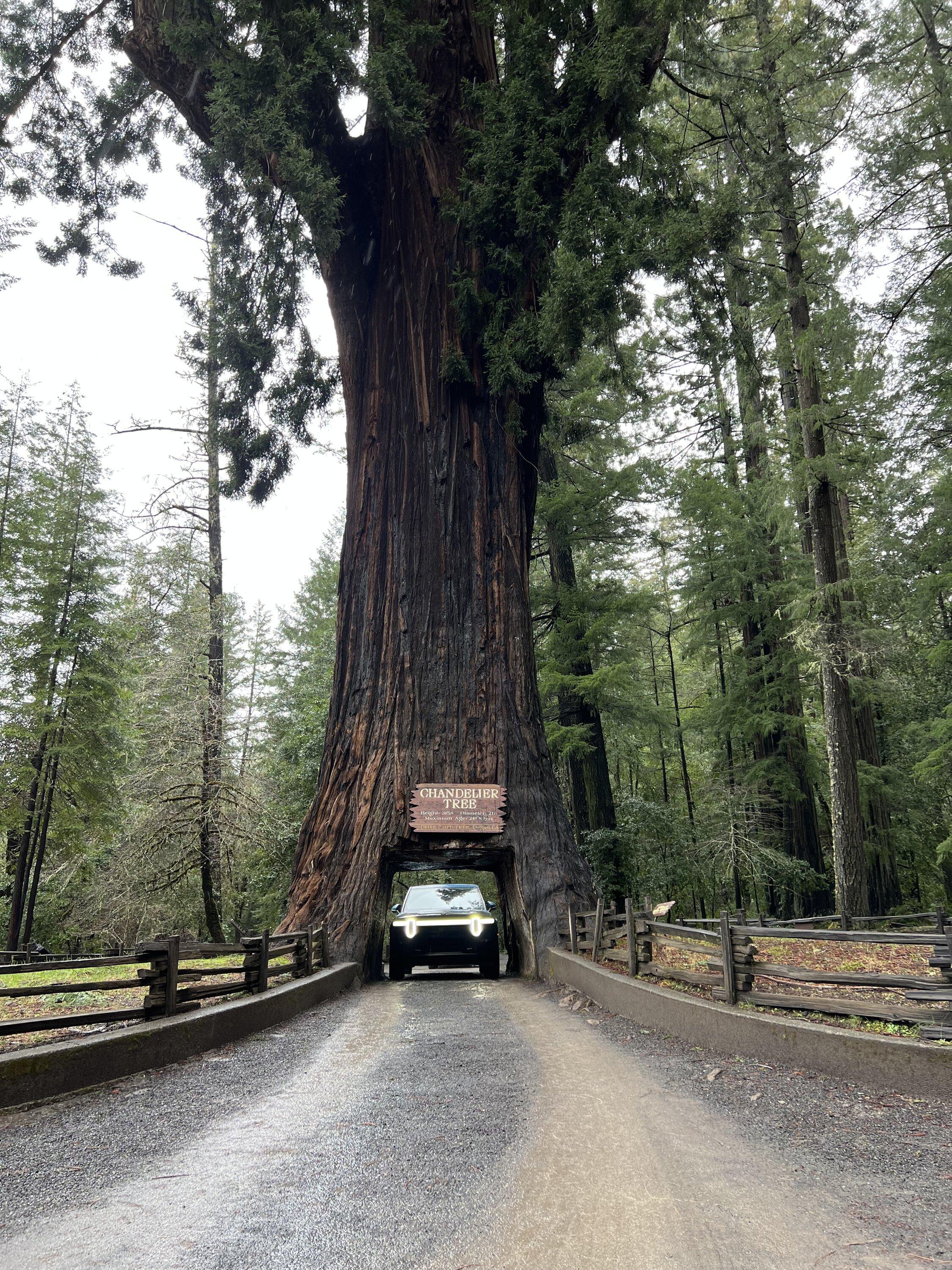 Rivian R1T R1S Road trip up NorCal coast to Redwood National Parks IMG_5440