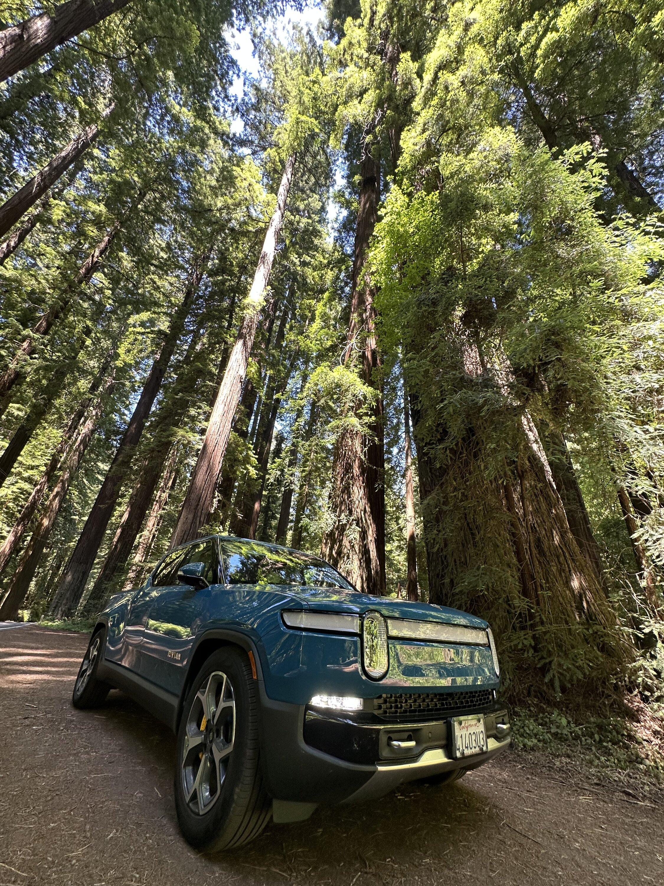 Rivian R1T R1S Road trip up NorCal coast to Redwood National Parks ACFEBDFC-DEBF-4A36-9F22-6DDEE2288961