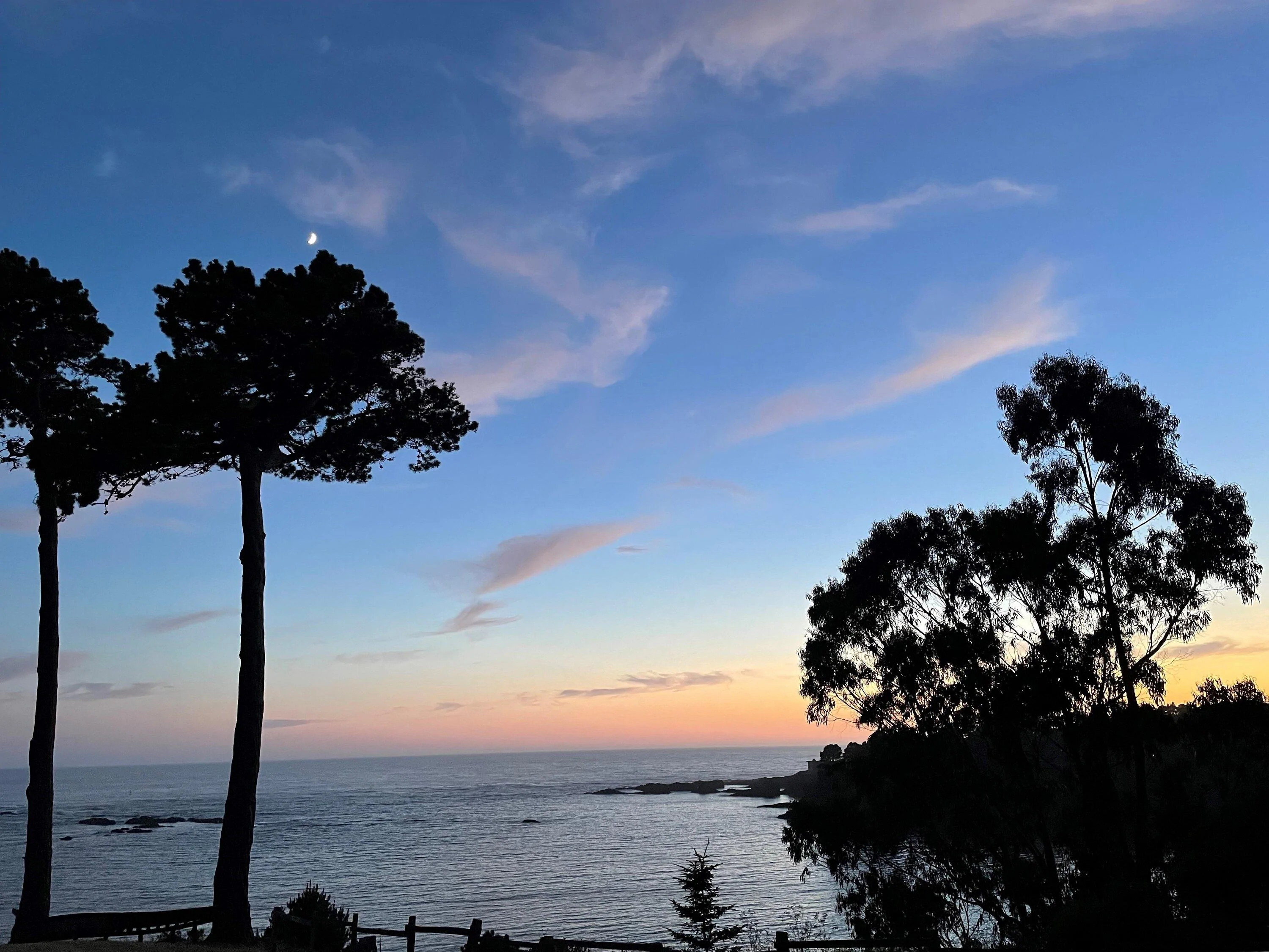 Rivian R1T R1S Road trip up NorCal coast to Redwood National Parks vi
