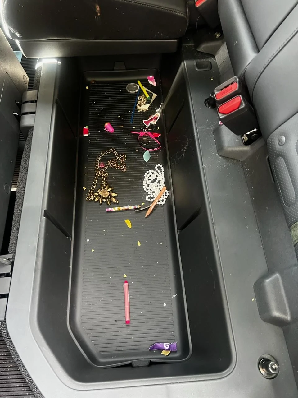 Rivian R1T R1S R1T vs R1S cargo area - how do you plan on utilizing it?  Pros vs Cons? IMG_9390