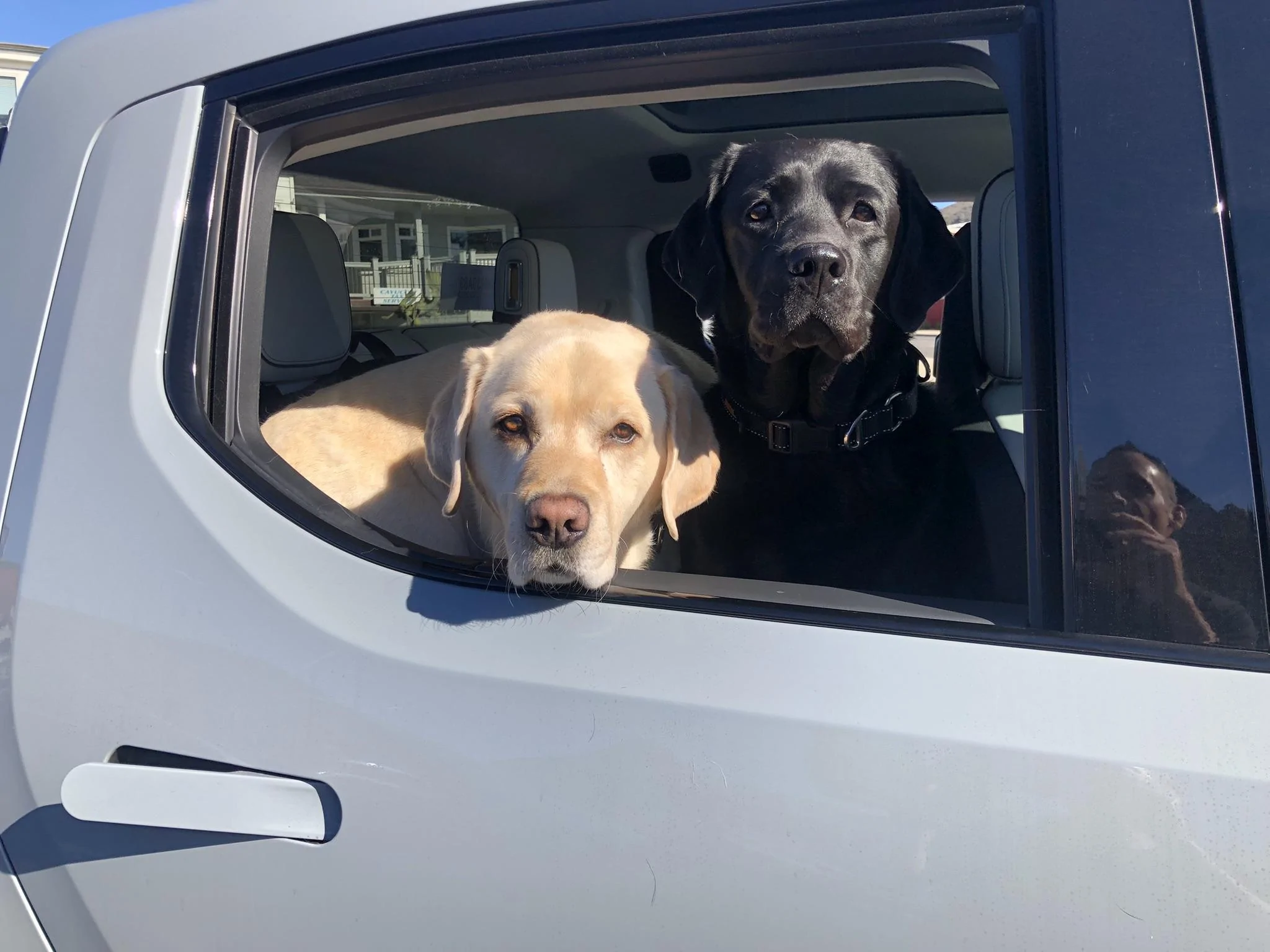 Bode & Winnie.JPEG