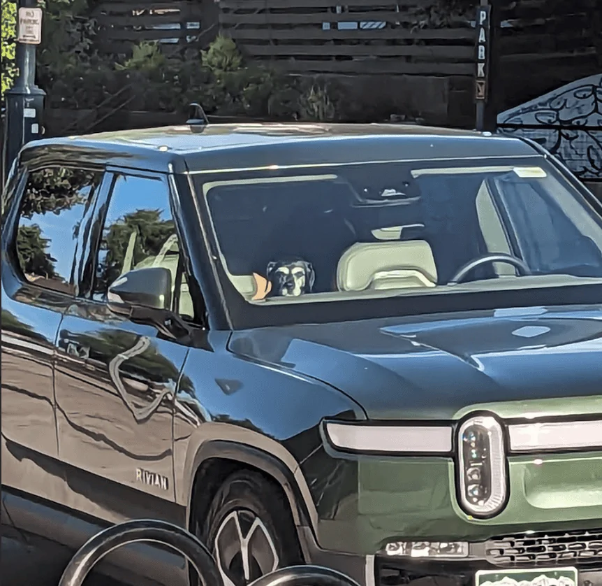 Rivian R1T R1S Dogs and Rivians ? Screenshot 2023-08-09 150318