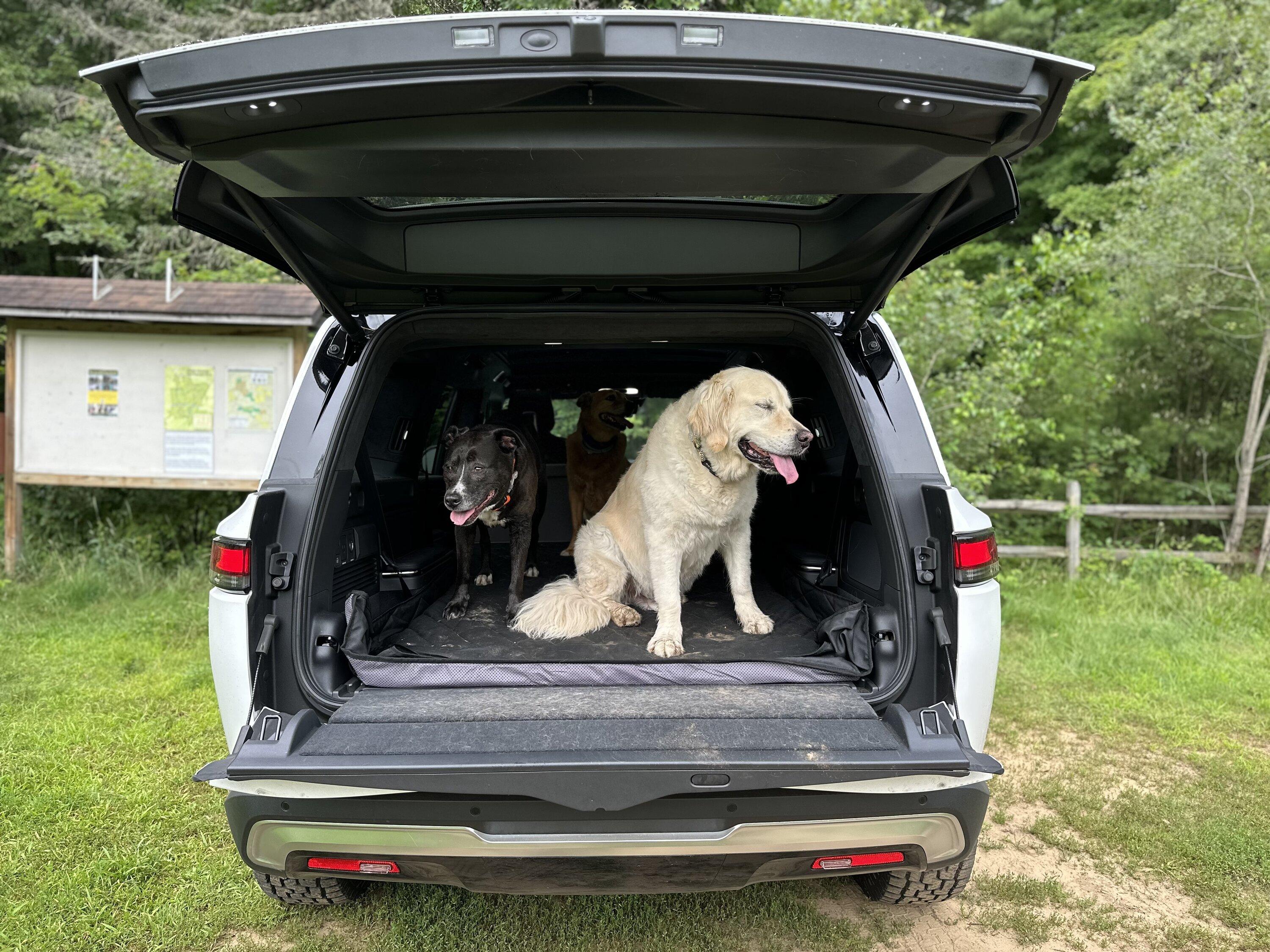 Rivian R1T R1S Dogs and Rivians ? IMG_9737