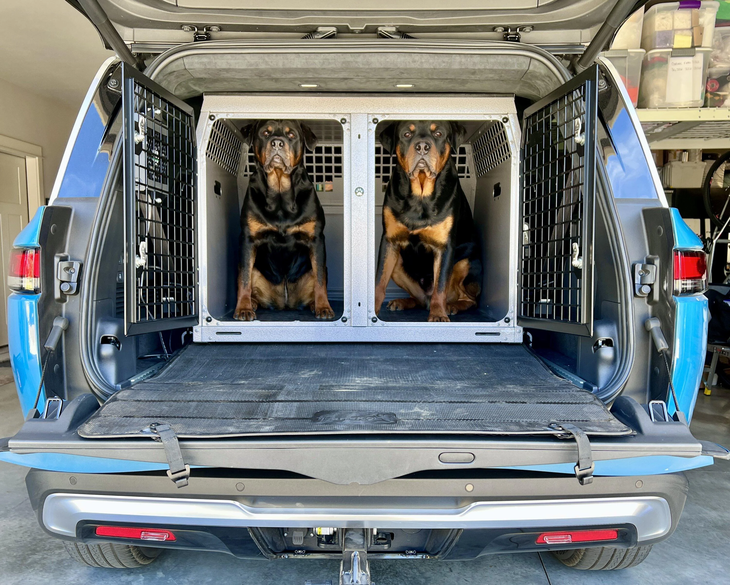 Rivian R1T R1S Dogs and Rivians ? IMG_9324