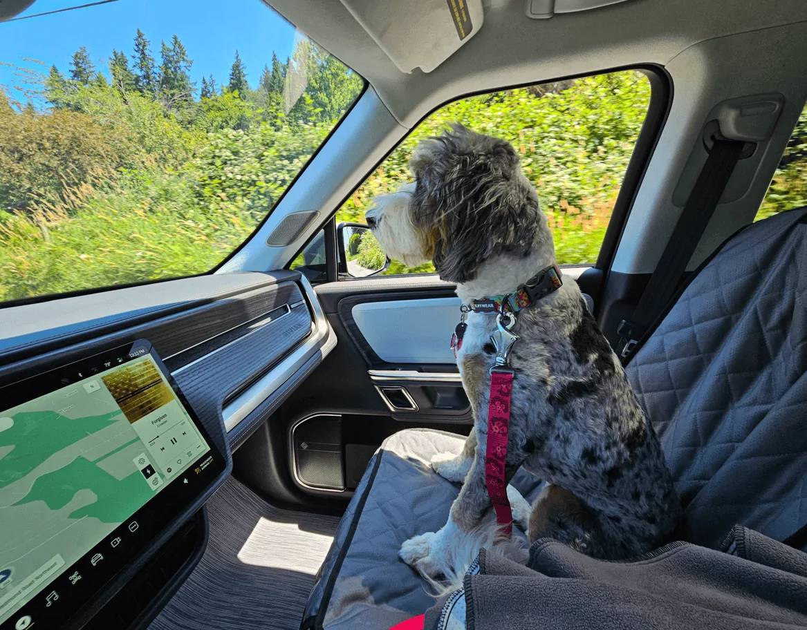 Rivian R1T R1S Dogs and Rivians ? 1691630738895