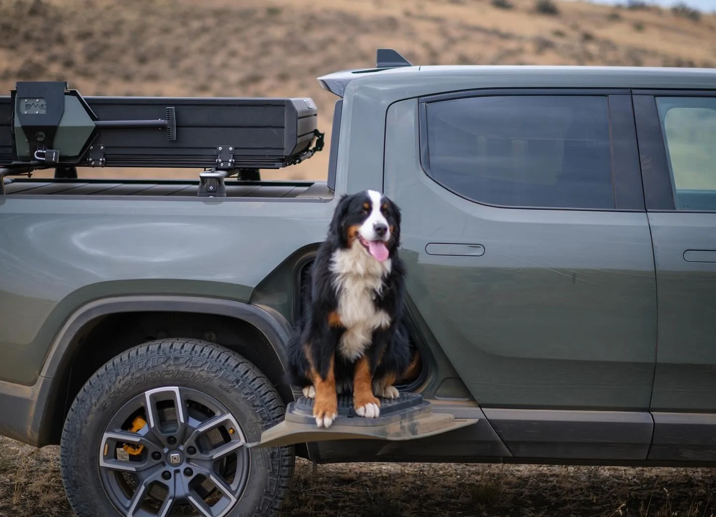Rivian R1T R1S Dogs and Rivians ? 98A7C526-C656-44E5-8E0E-ED141FA17995