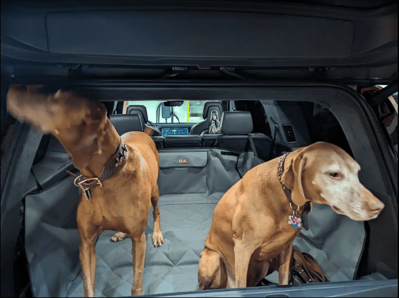 Rivian R1T R1S Dogs and Rivians ? Romeo_and_Scarlet_Rivian_R1S