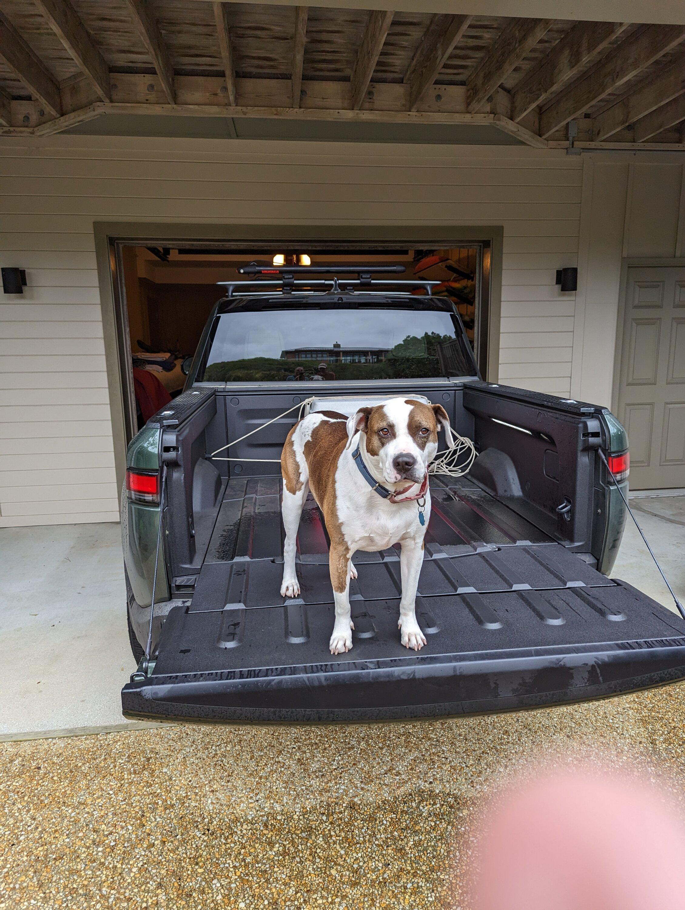 Rivian R1T R1S Dogs and Rivians ? PXL_20230407_214554507