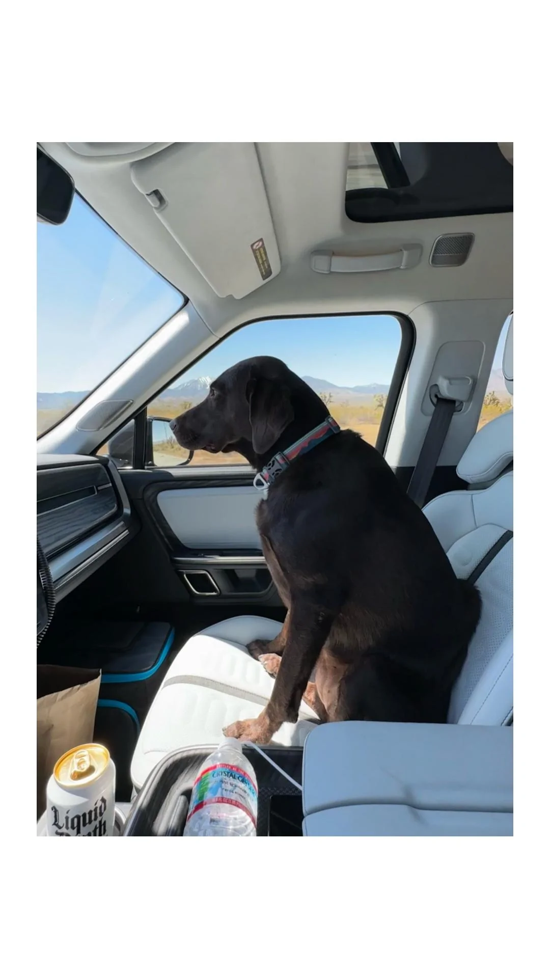 Rivian R1T R1S Dogs and Rivians ? page0 9