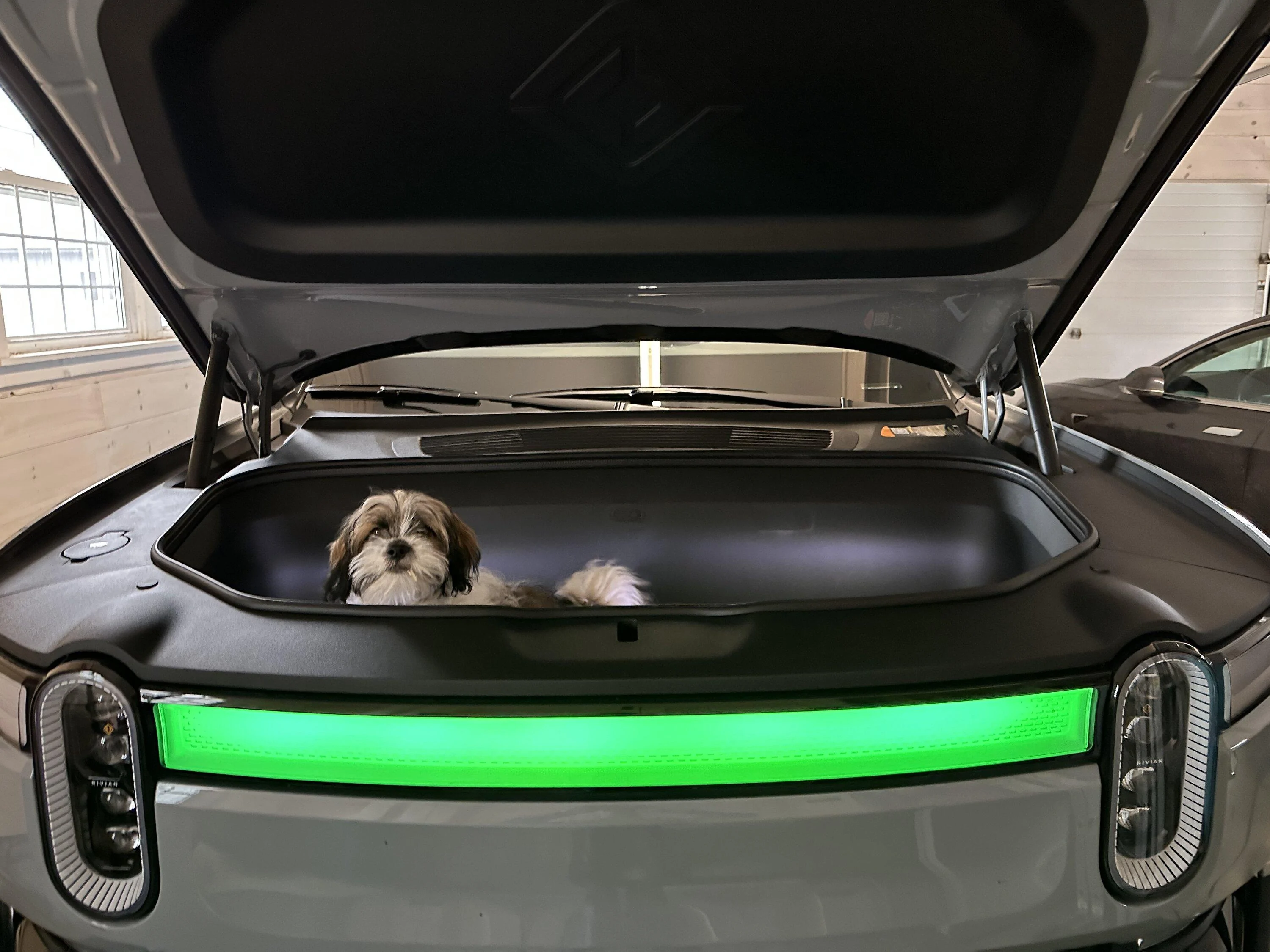 Rivian R1T R1S Dogs and Rivians ? IMG_1006