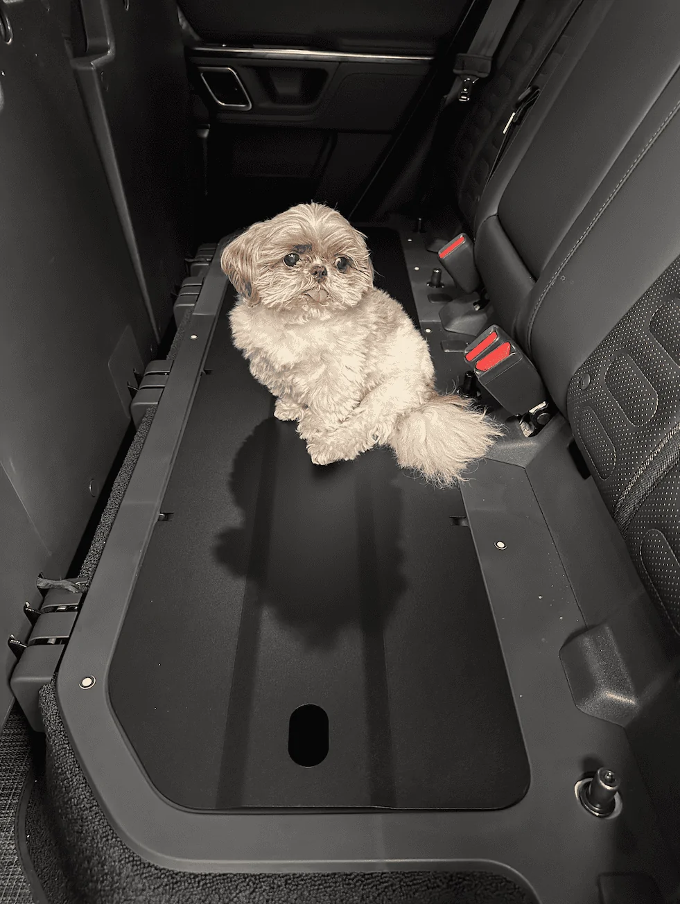 Rivian R1T R1S Dogs and Rivians ? Screenshot 2023-08-10 at 3.03.48 PM