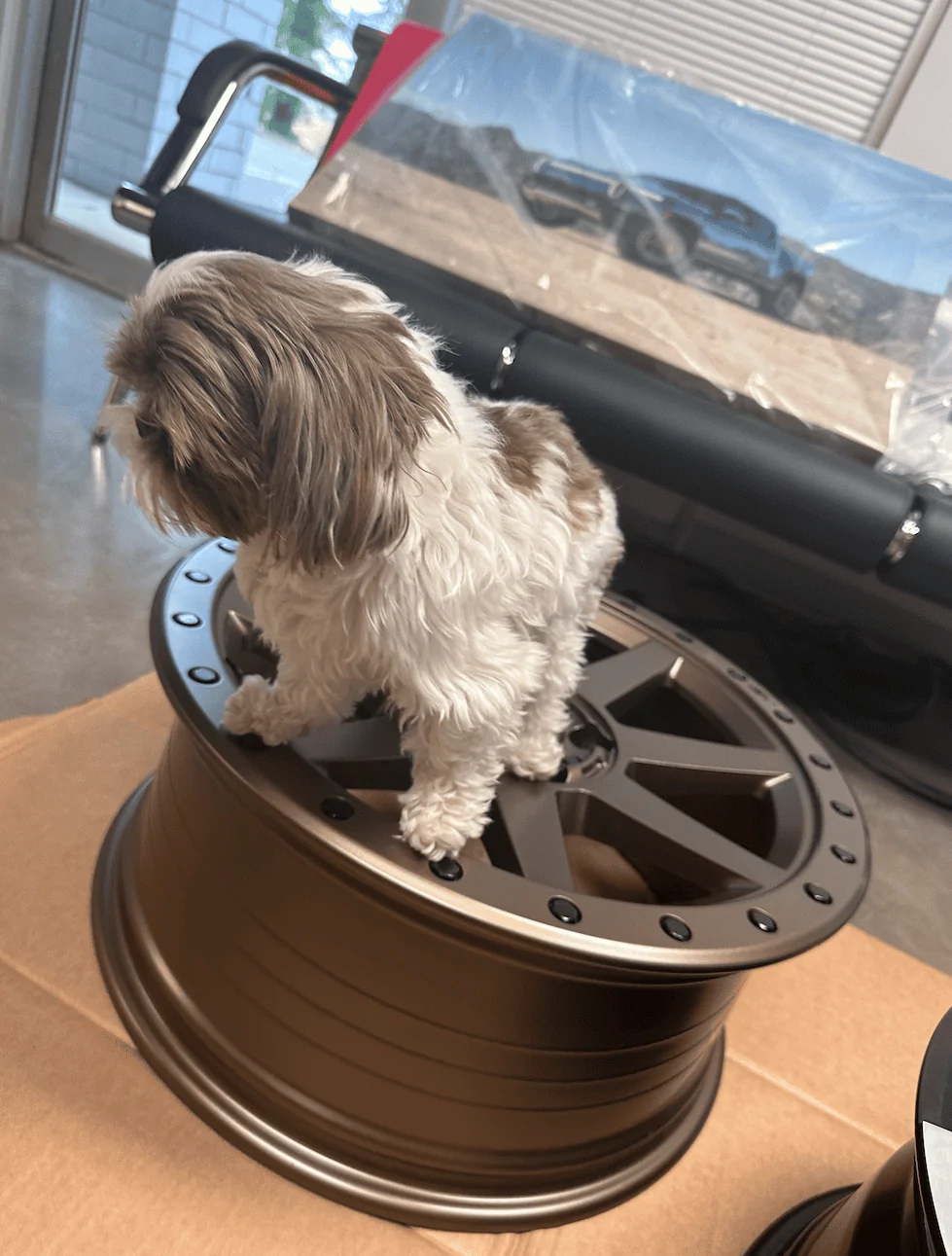 Rivian R1T R1S Dogs and Rivians ? Screenshot 2023-08-10 at 3.04.08 PM