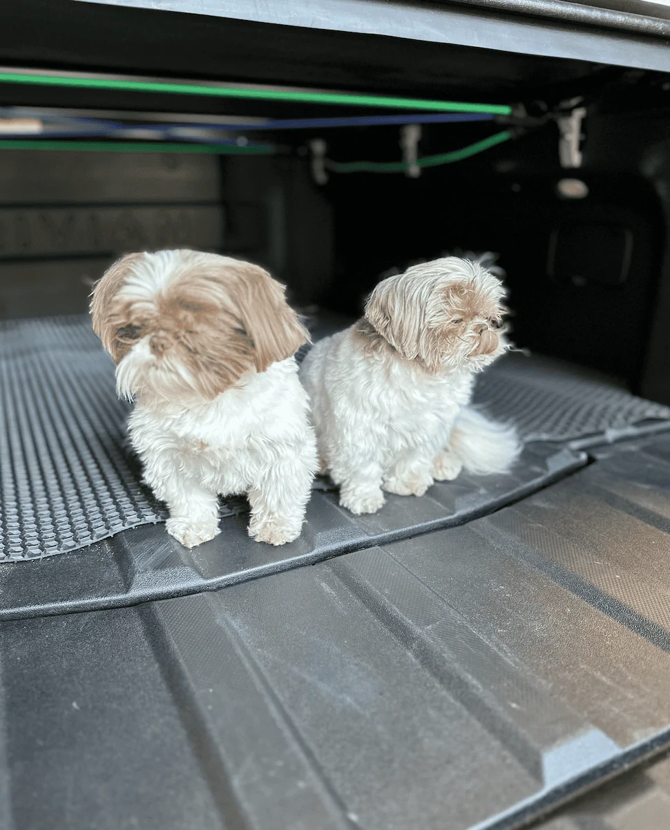 Rivian R1T R1S Dogs and Rivians ? Screenshot 2023-08-10 at 3.04.51 PM